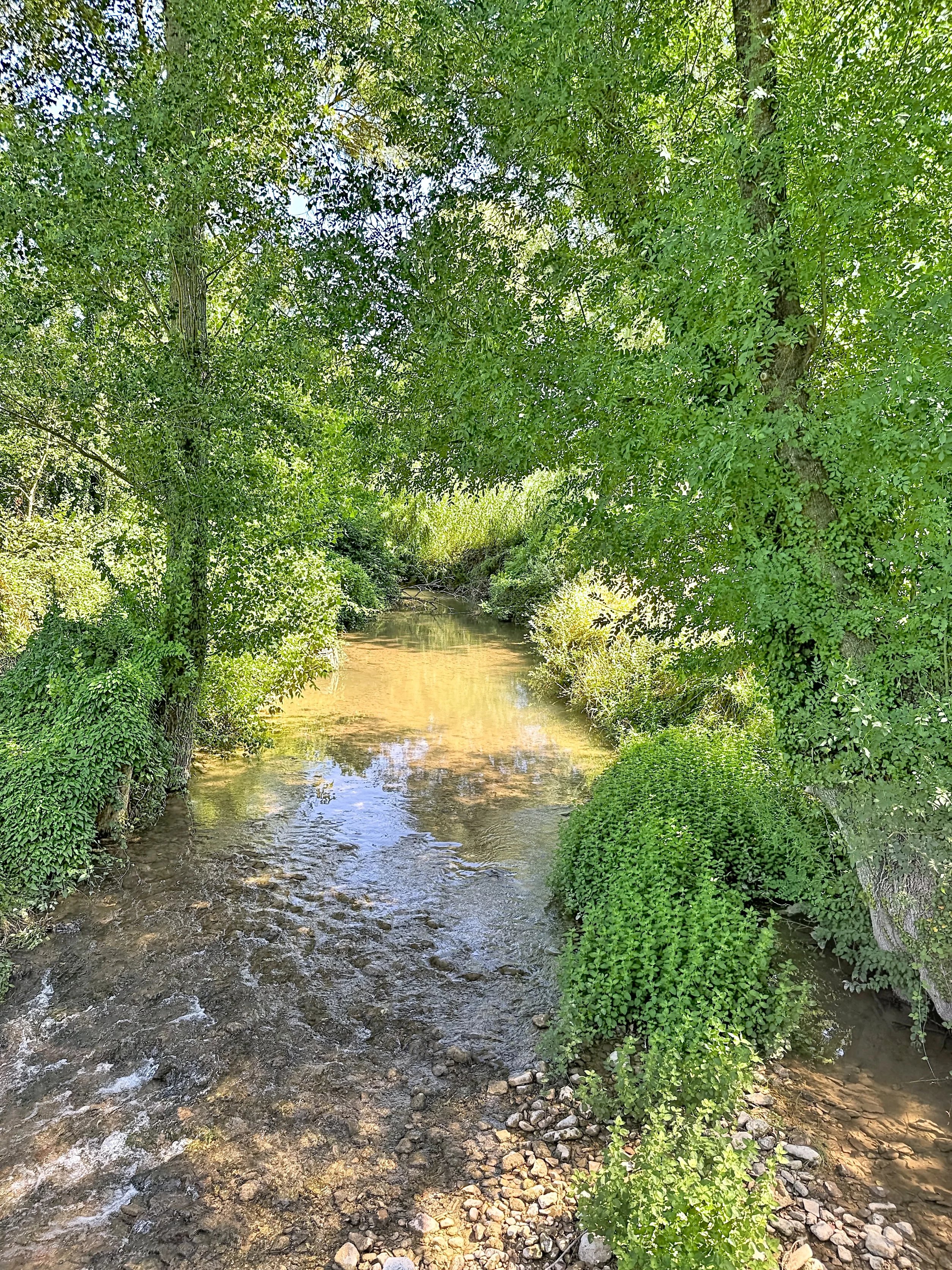 Exceptional property with 19th-century mill, detached villa, 2 pools on 1.6 hectares