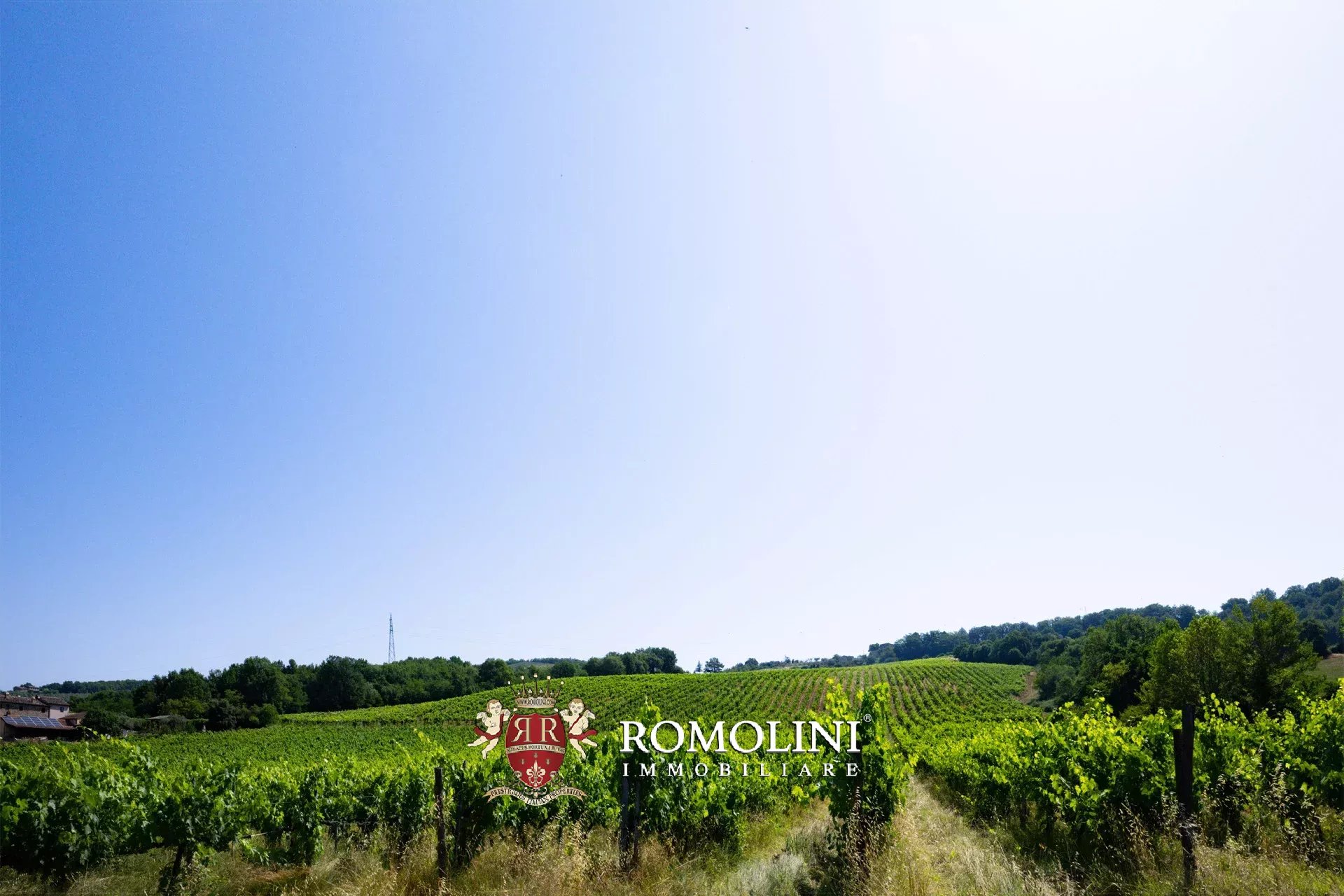 3 Bedroom Vineyard's Image 32