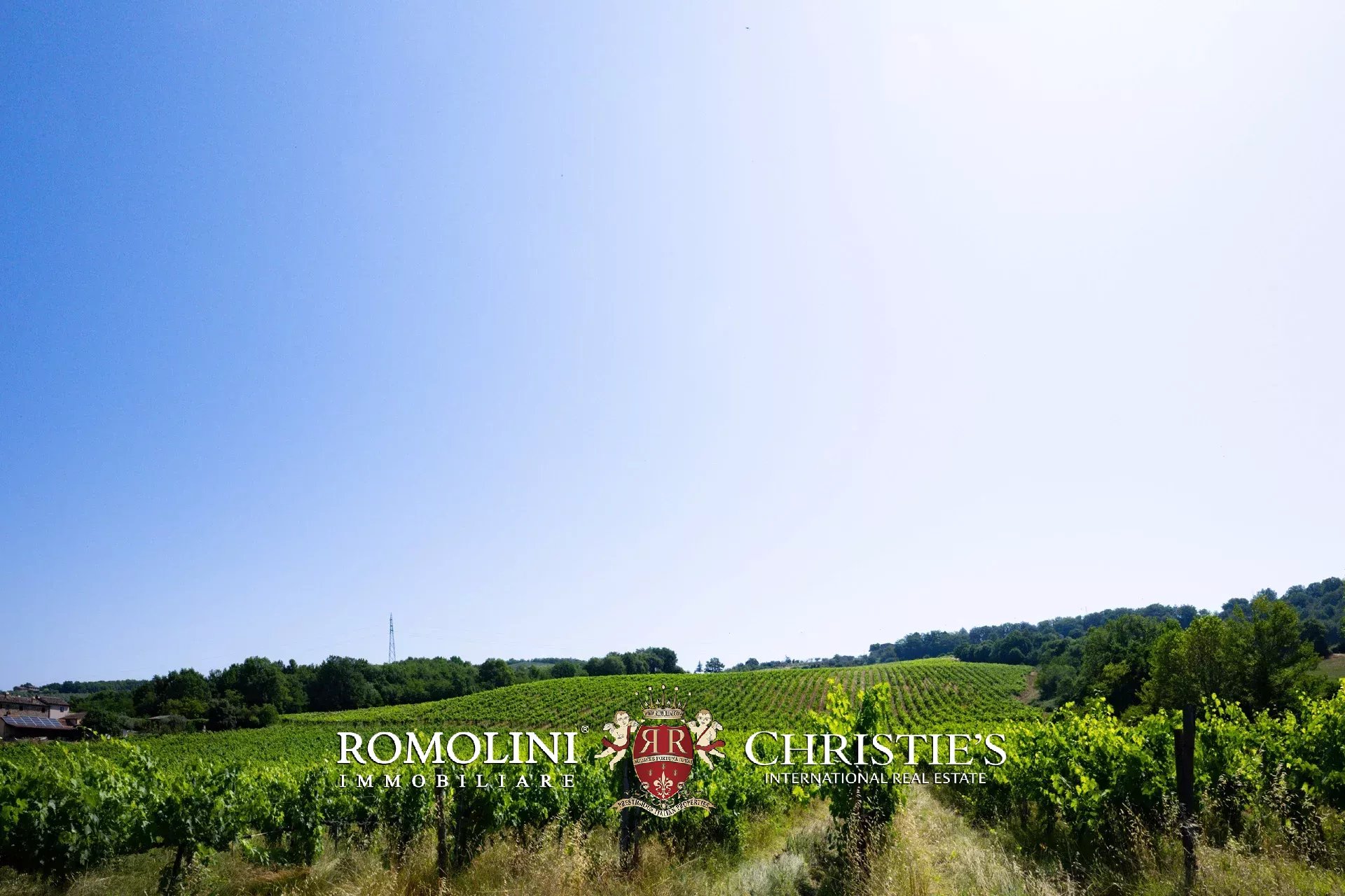 3 Bedroom Vineyard's Image 32