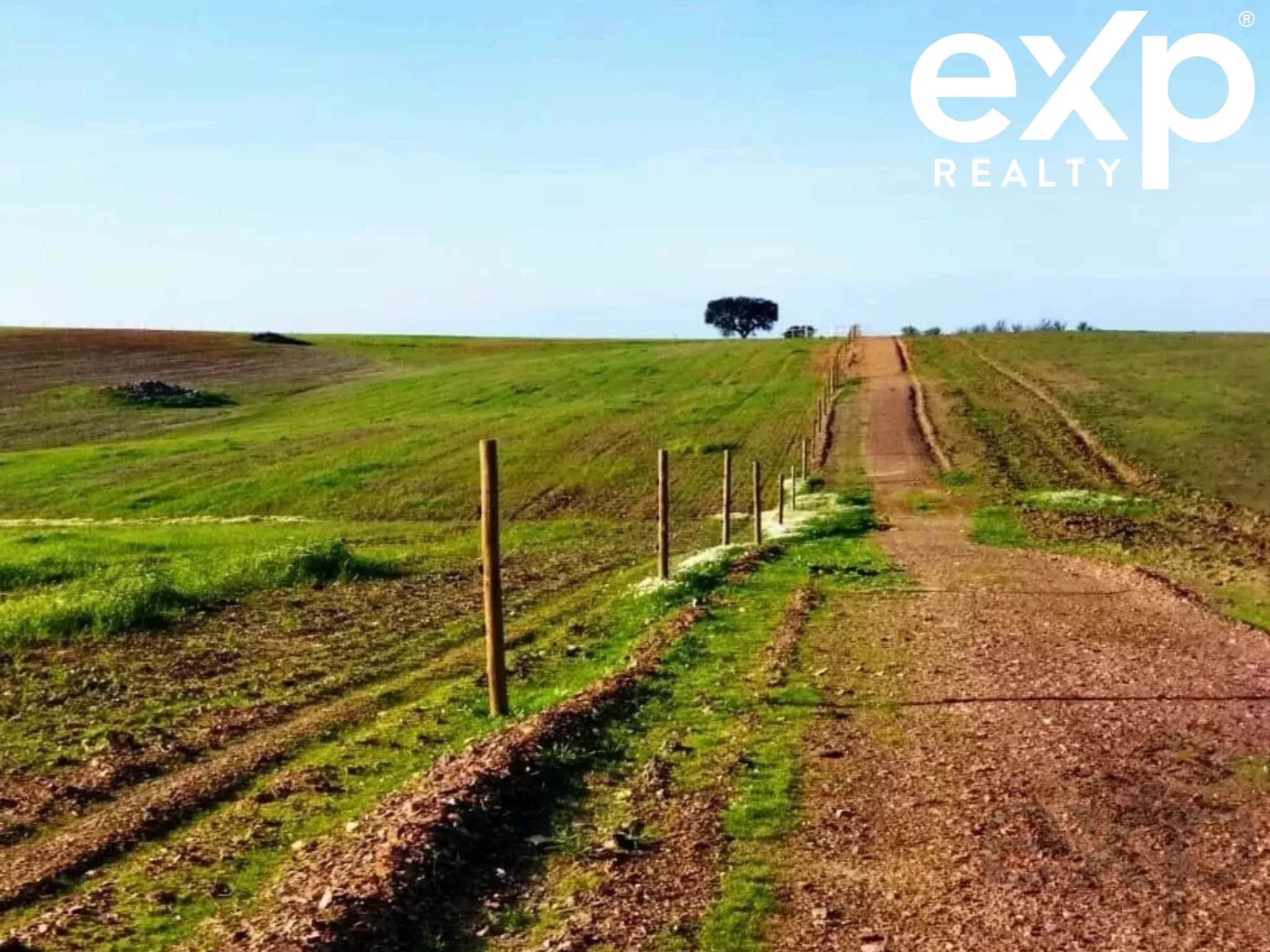 Herdade para Gado -Baixo Alentejo (Insurance for investors, funds and ICNF) 86742404 image 5