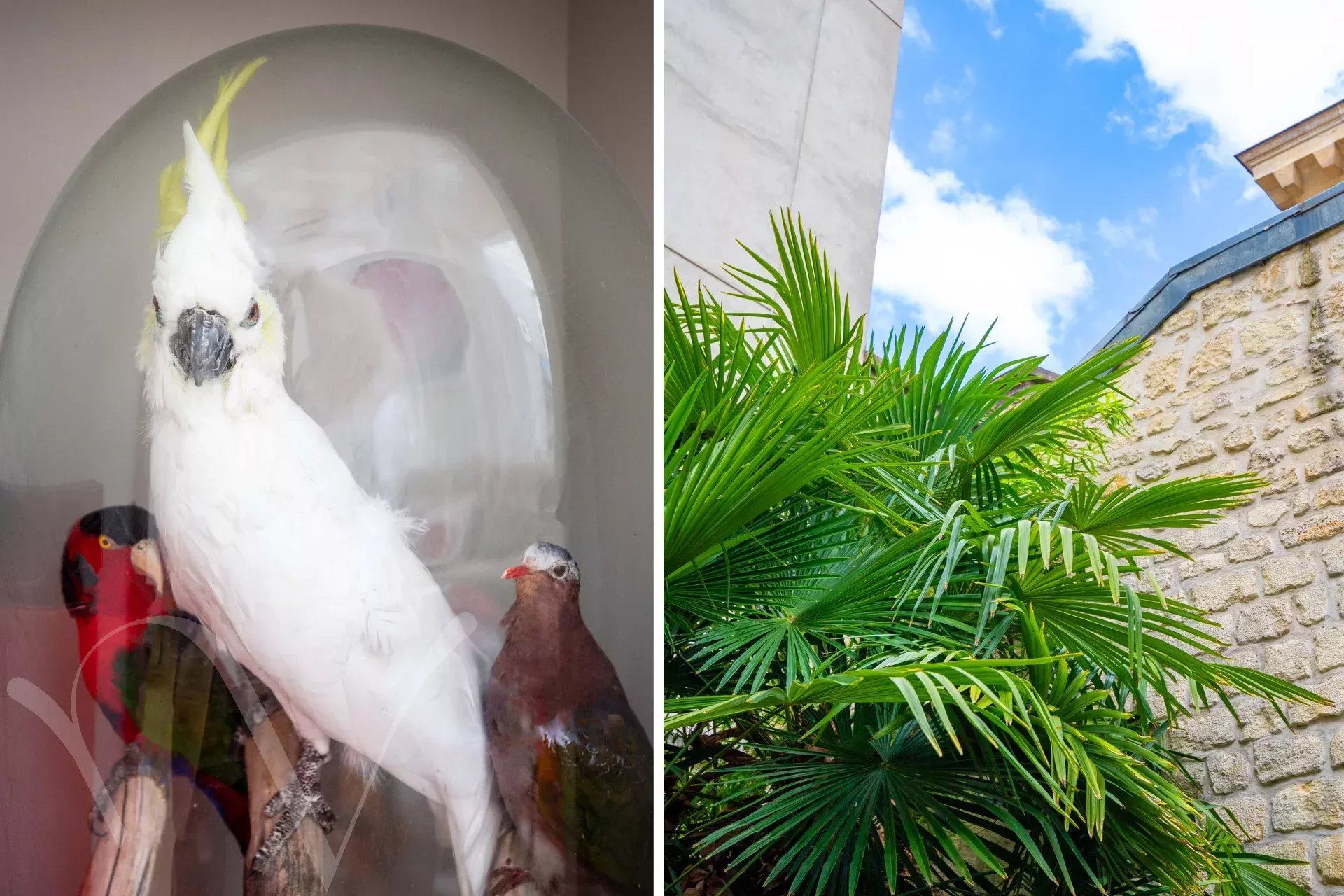 Agence immobilière de Nouvelle Vague Real Estate