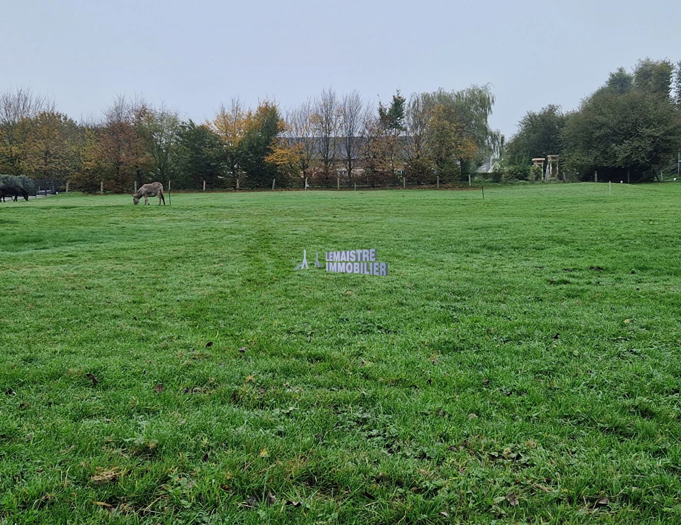Vente Terrain Saint-Romain-de-Colbosc