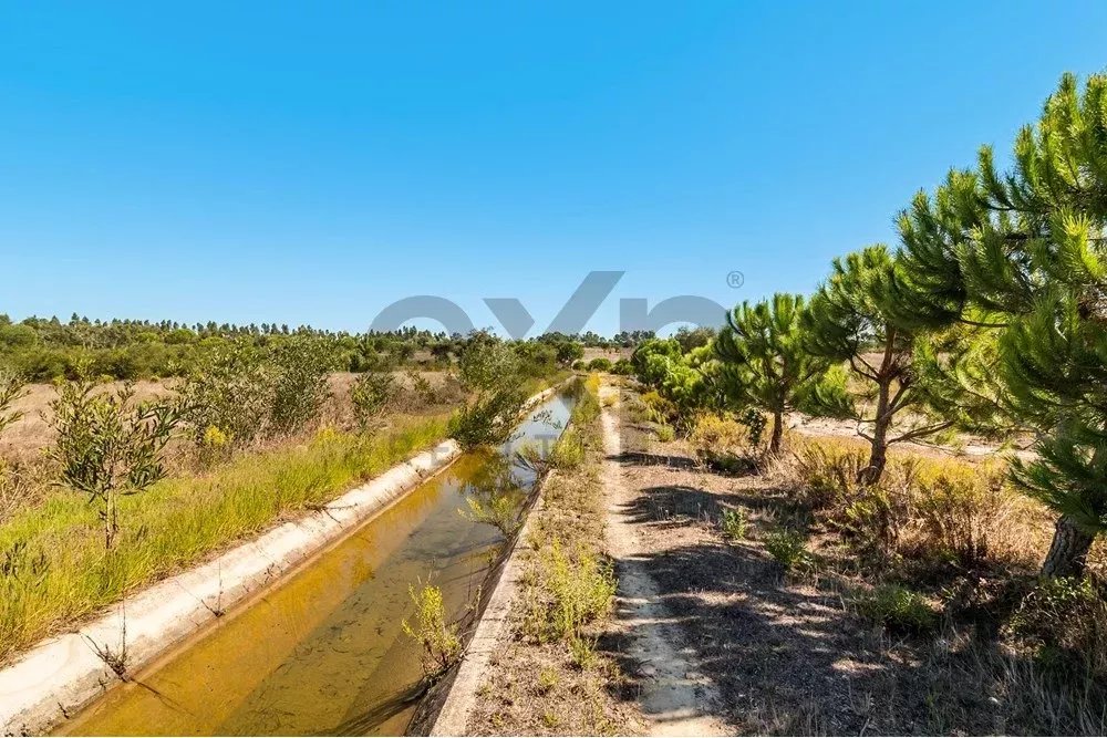 Unmissable Investment in Odemira 85507464 image 15