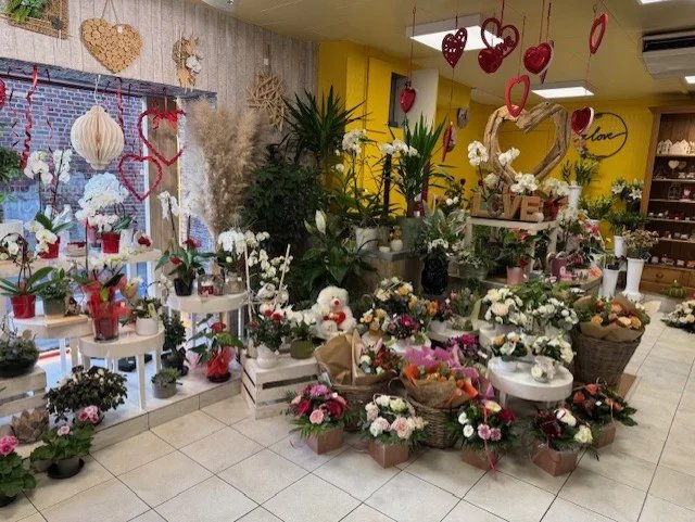 Vente Fonds de commerce Arras