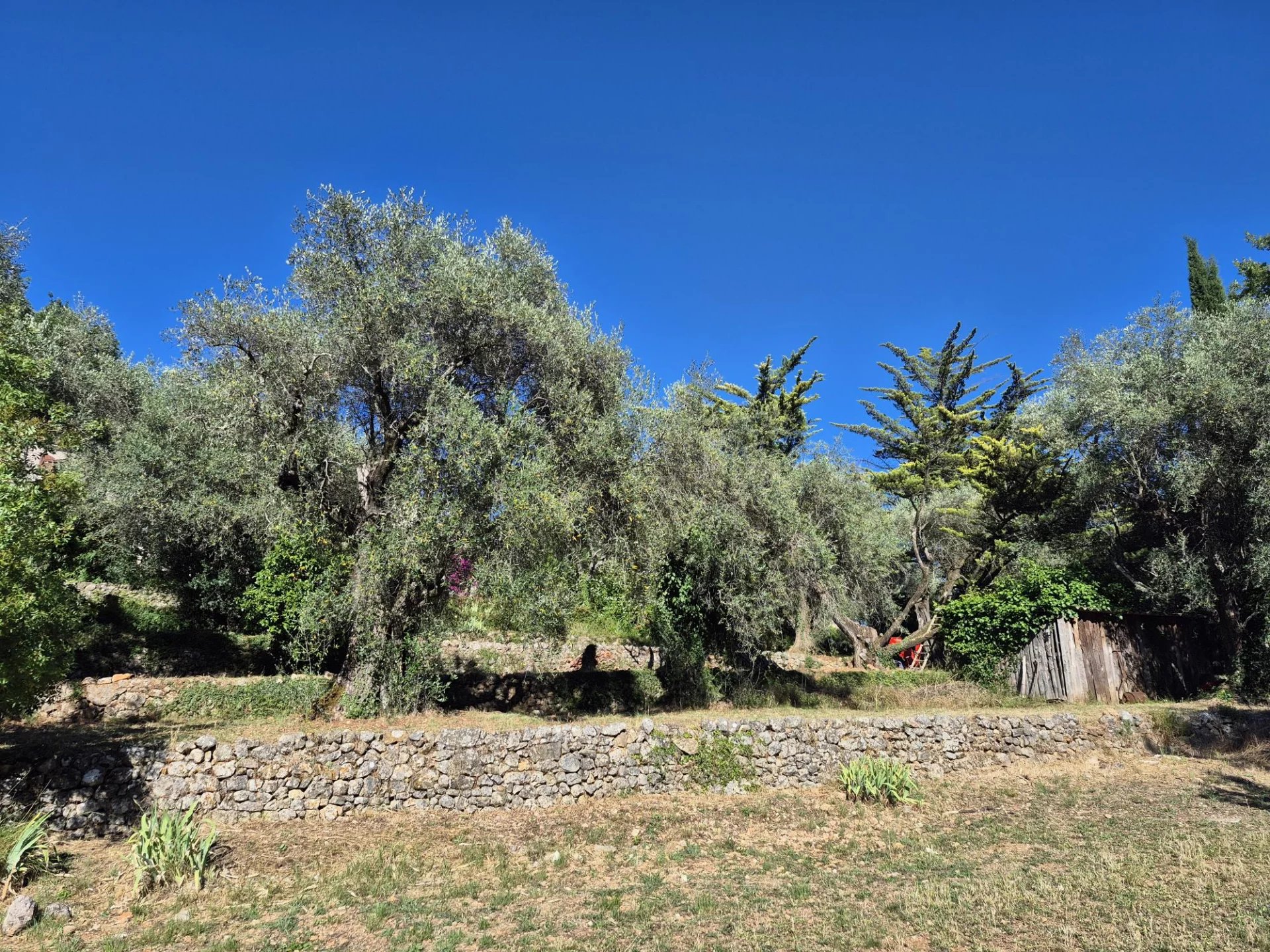  Image of Villa - 5 Bedrooms for Sale in Alpes-Maritimes-Tourrettes-sur-Loup-France, Image 7