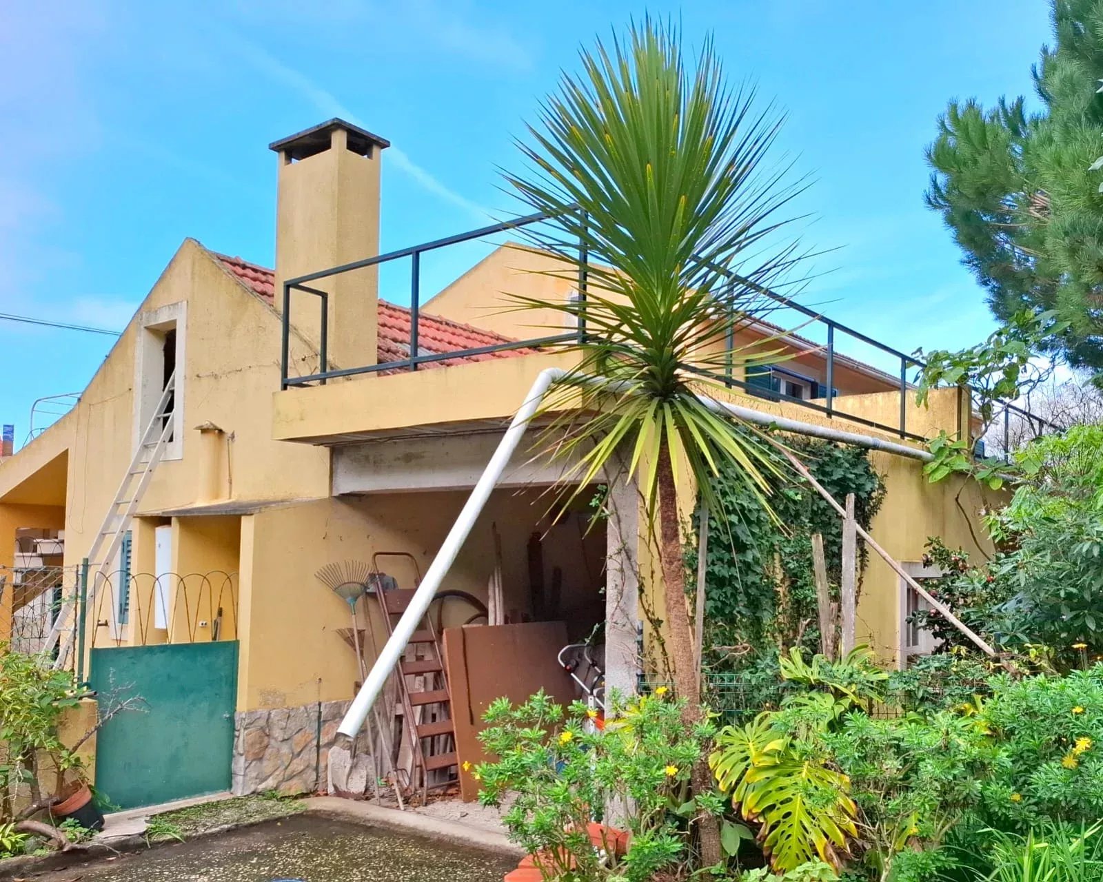 Sintra , Colares - Small farm with dream house 86819090 image 30