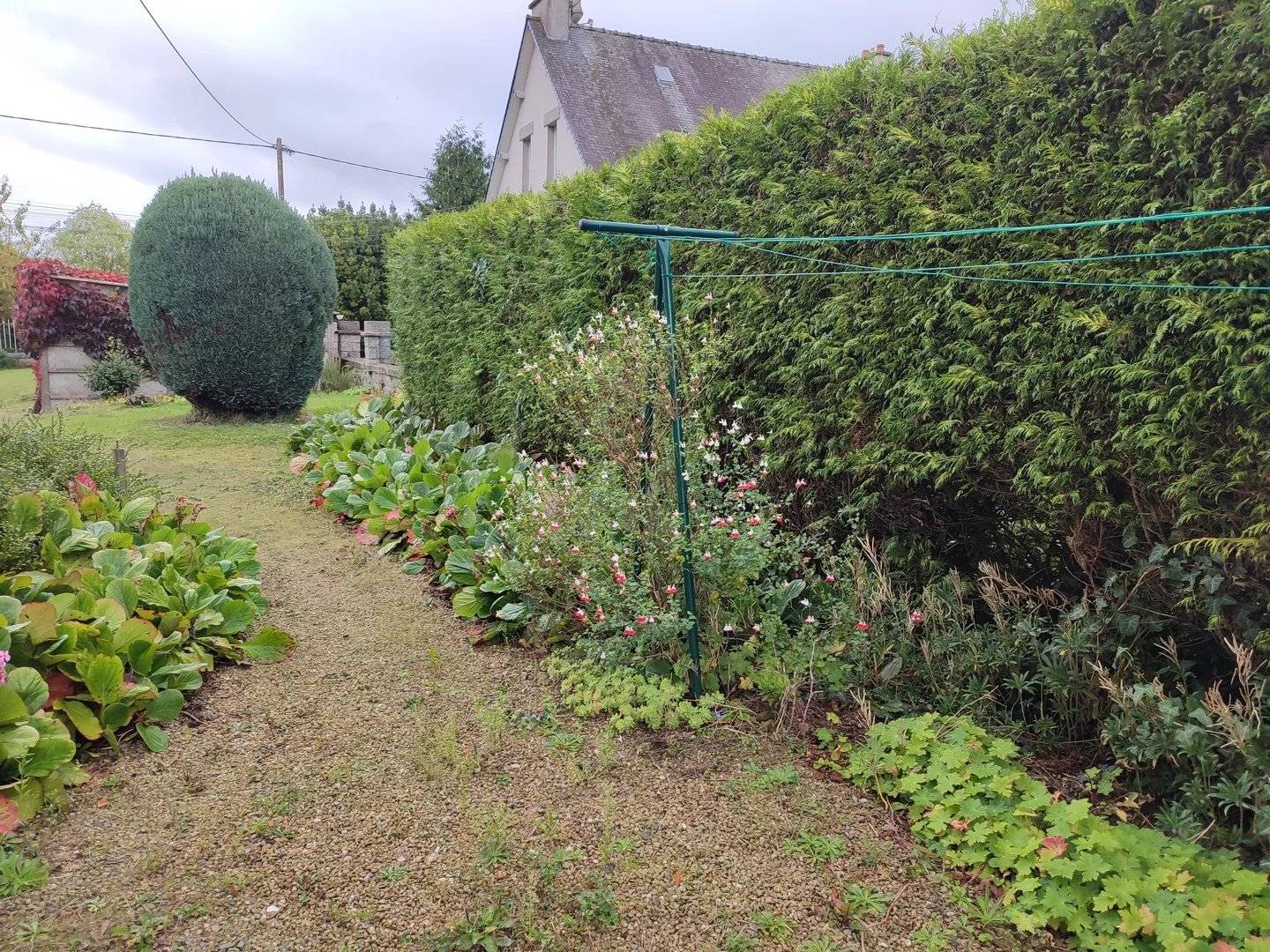 MAISON T3 – DINAN- EN EXCLUSIVITE-