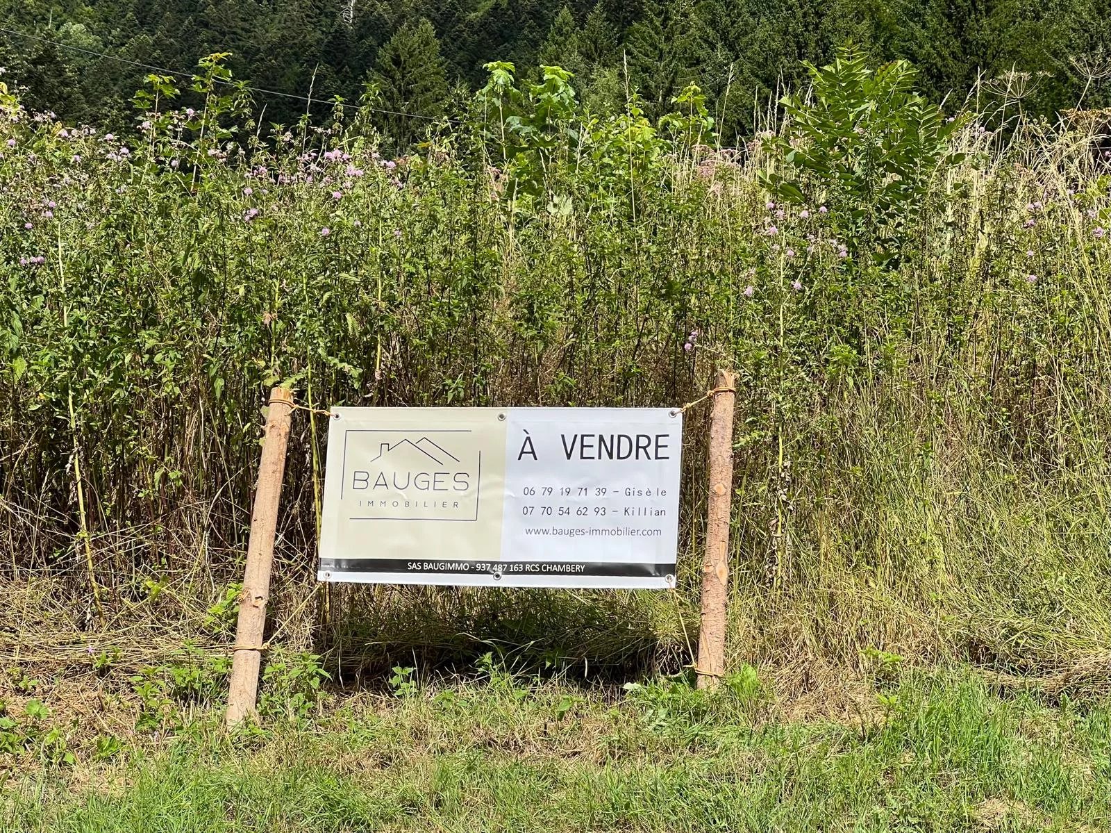 Agence immobilière de Baugimmo