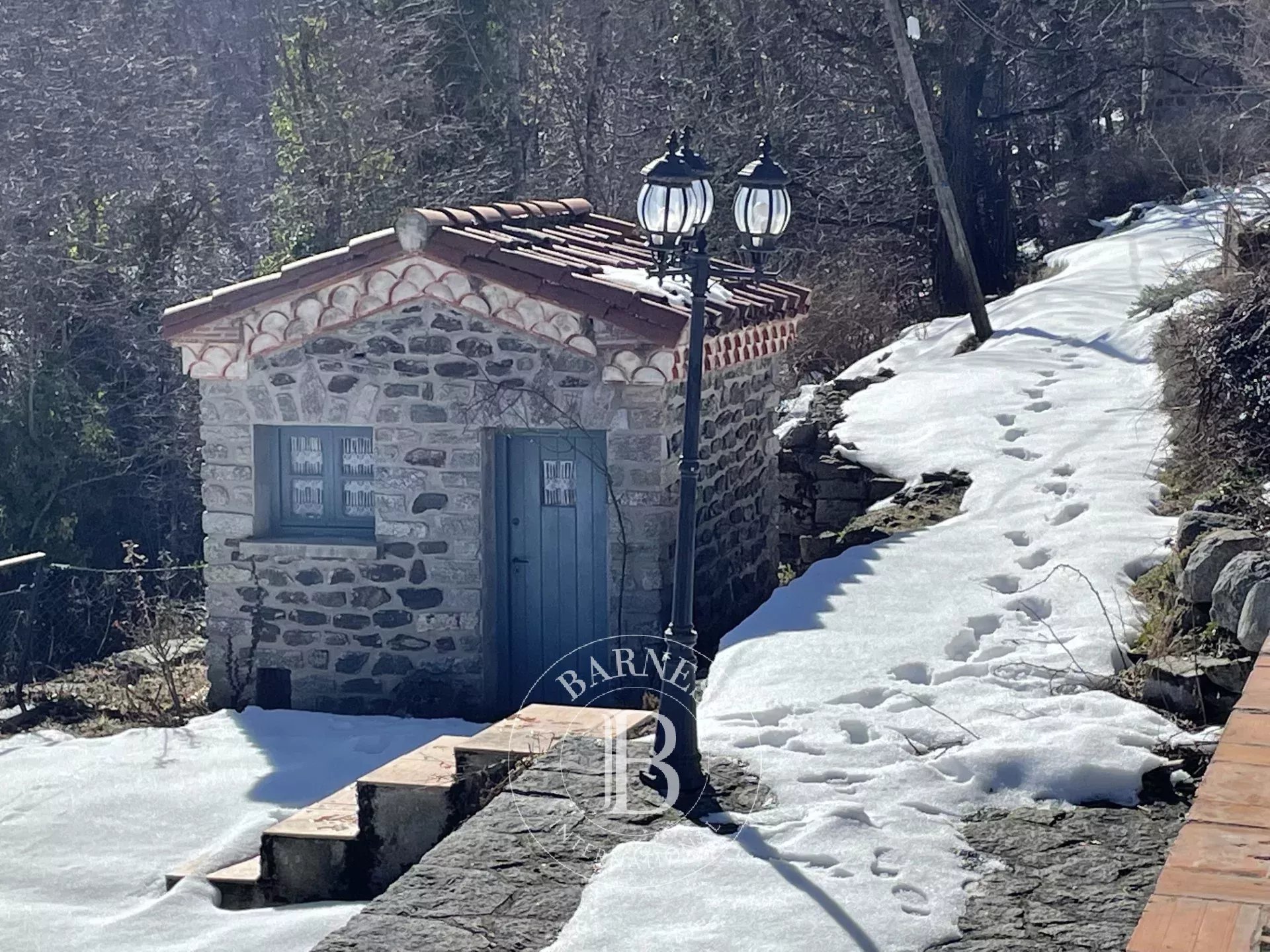 Mülkiyet Prats-de-Mollo-la-Preste - picture 7