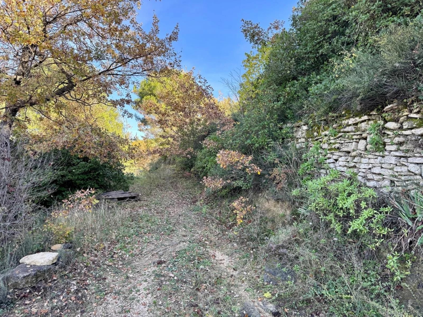 Terrain constructible à Bonnieux