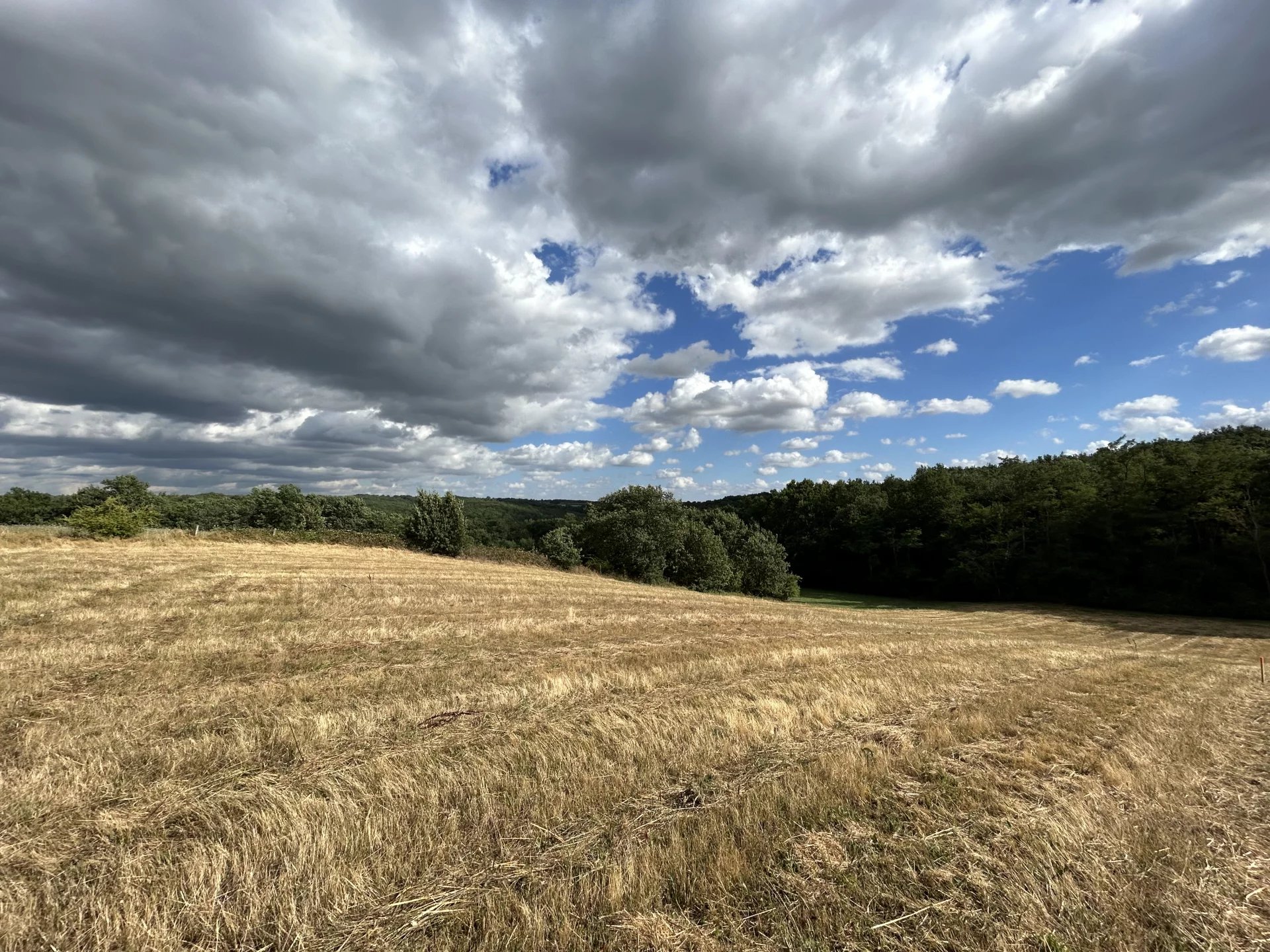 Sale Plot of land Le Born