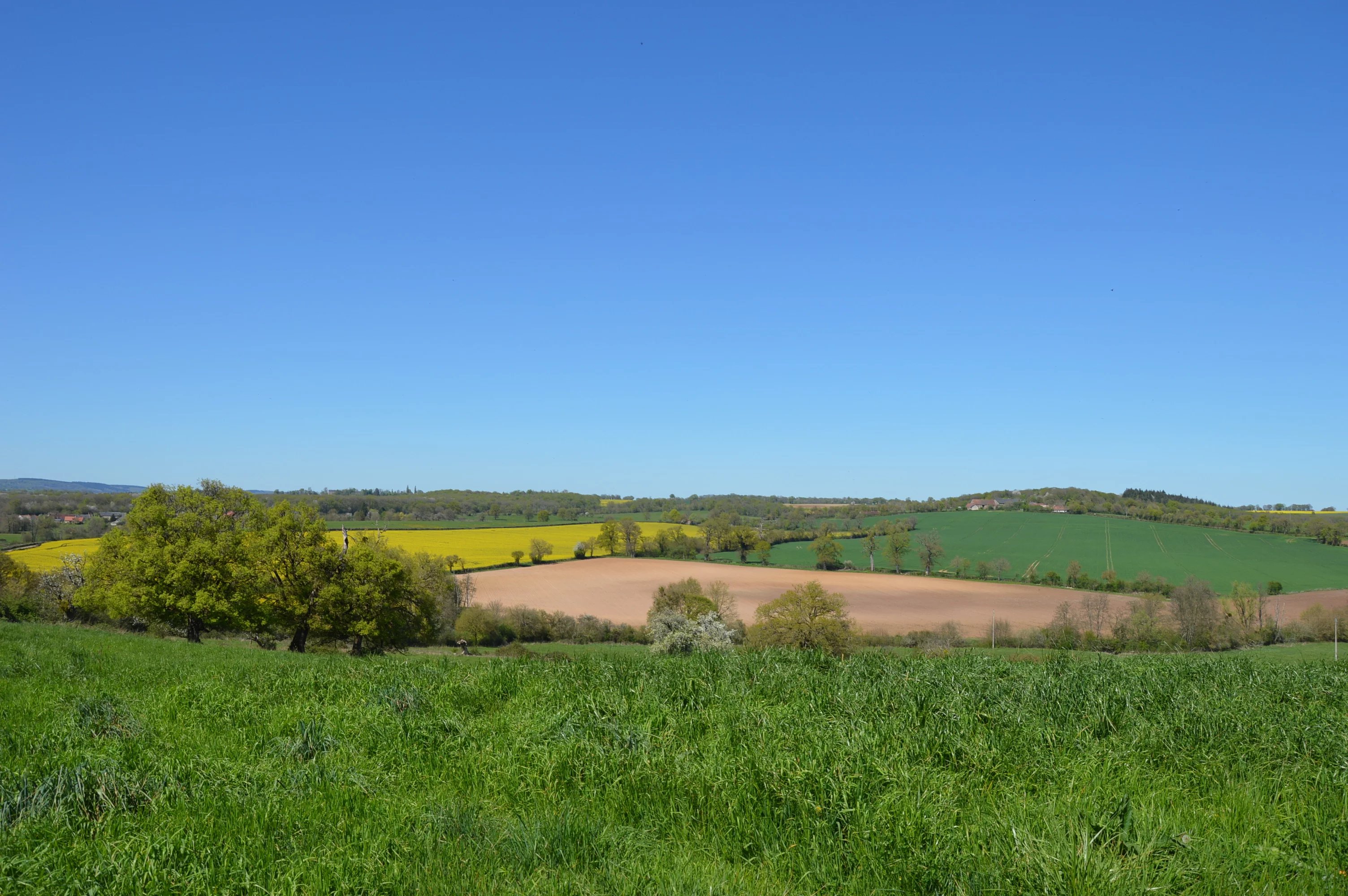 Maison avec vue dégagée — photo 11