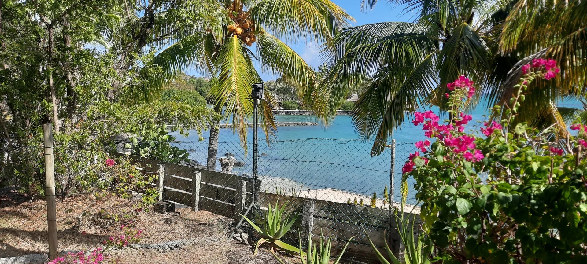 Villa Anse La Raie - picture 10