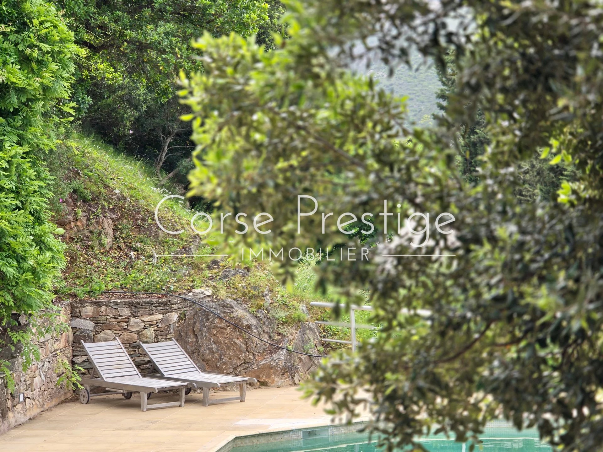 villa with pool and sea-views - saint florent - north corsica image4
