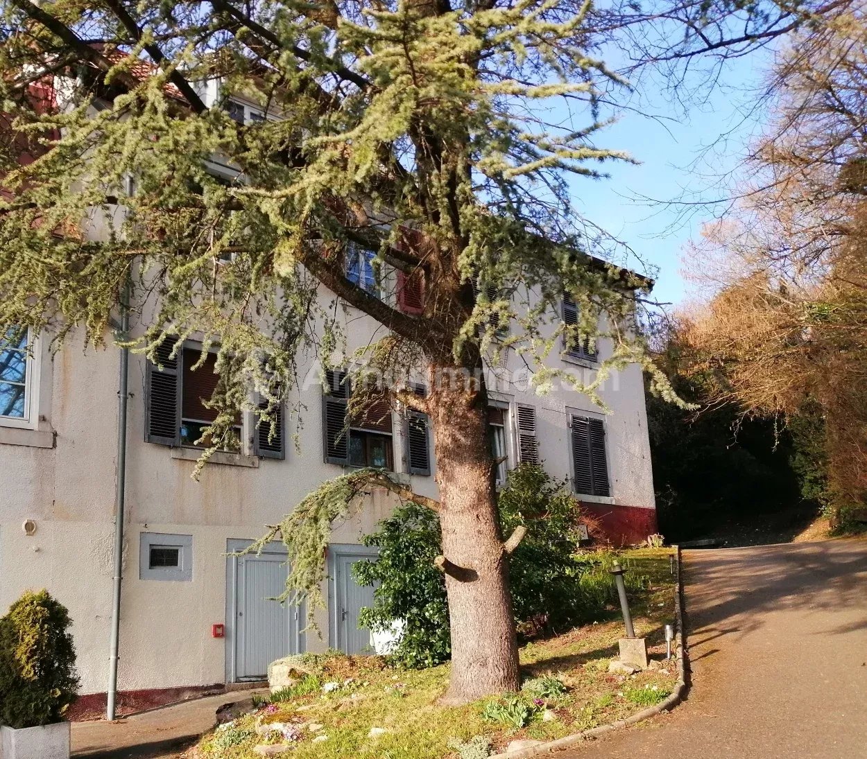 Agence immobilière de 