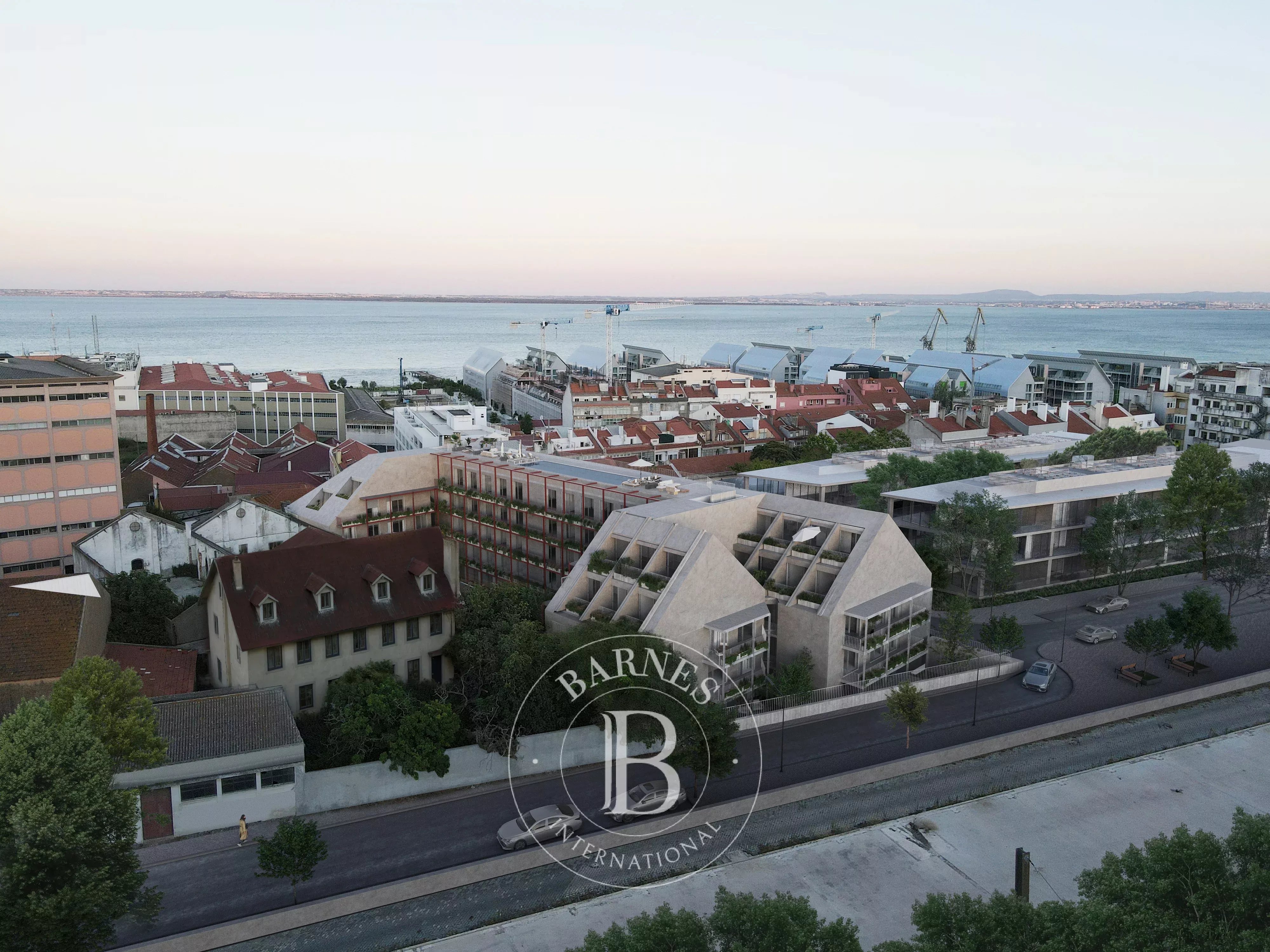 Living in a dynamic neighborhood near the Tagus River