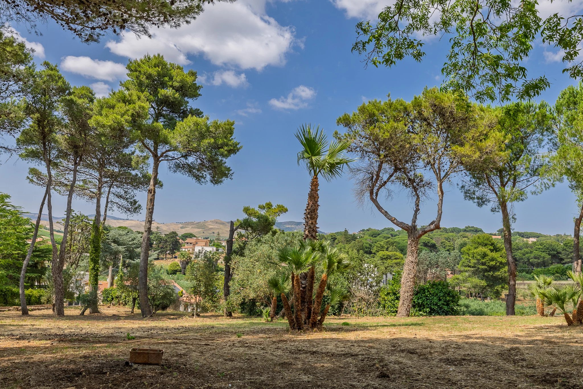 Apartment in San Ciro-Ulmi-Filci - Image 4