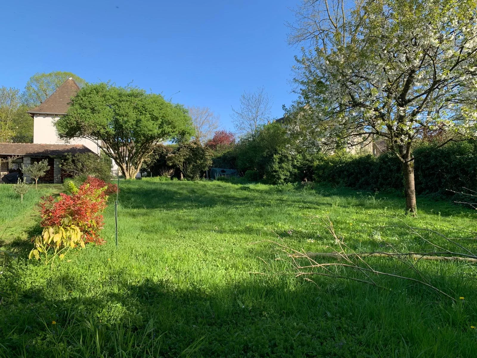 vente-maison-wissous-85999389