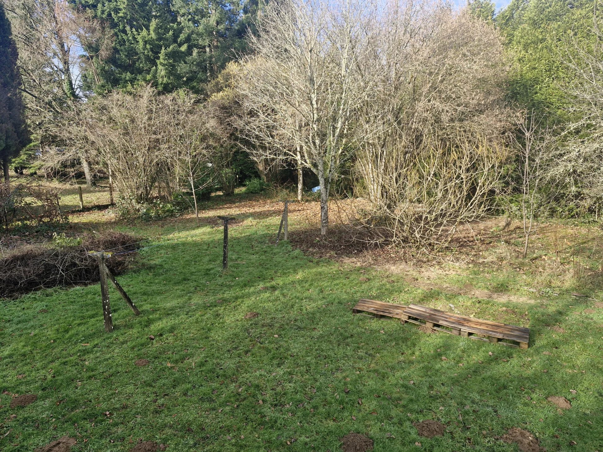Vente Terrain Limoges
