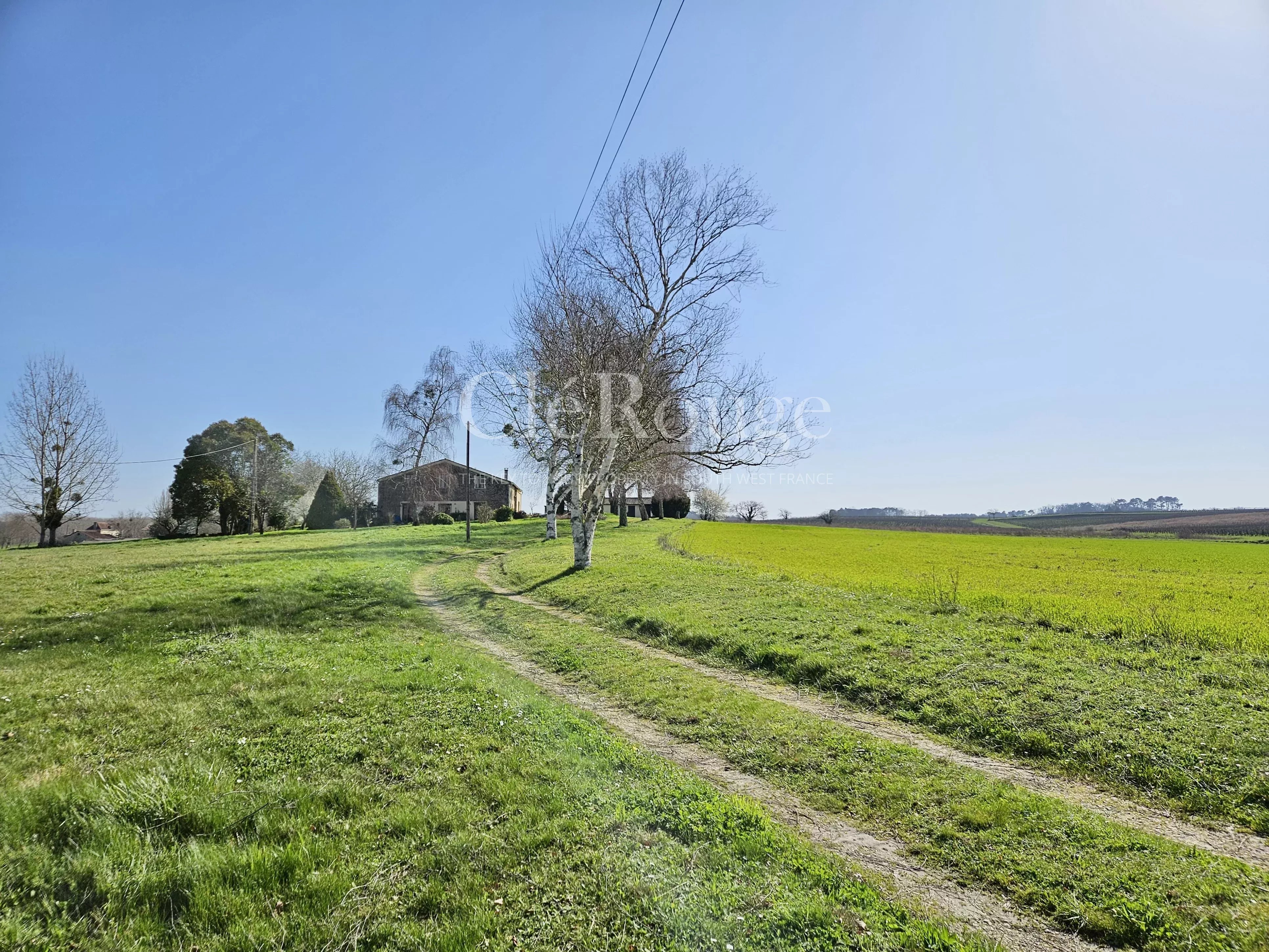 House in Sauveterre-de-Guyenne - Image 3