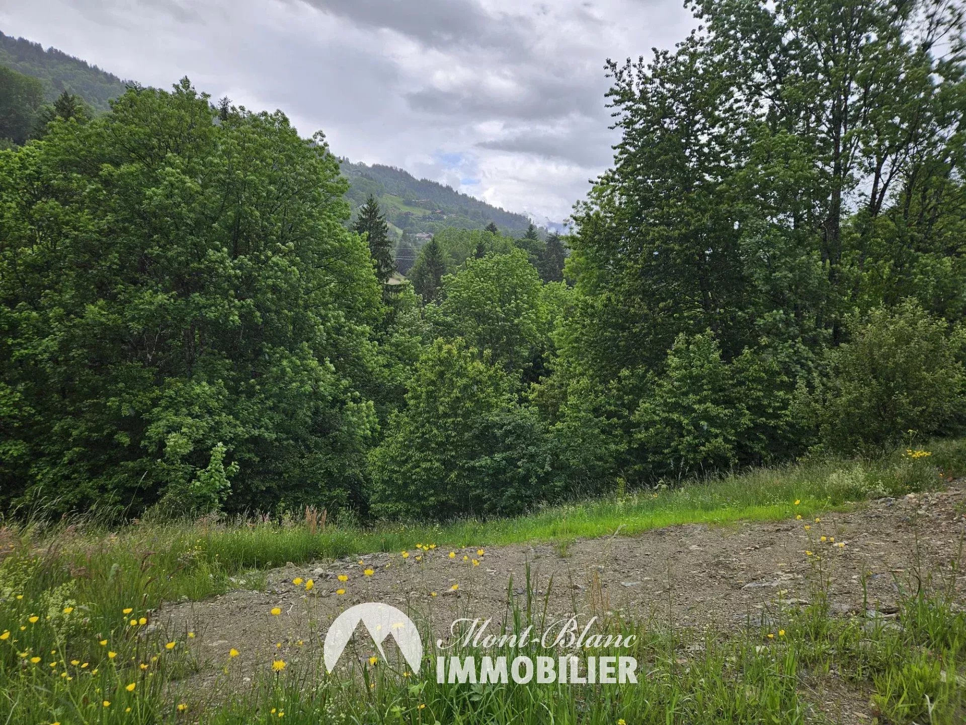 Agence immobilière de SAS MBI