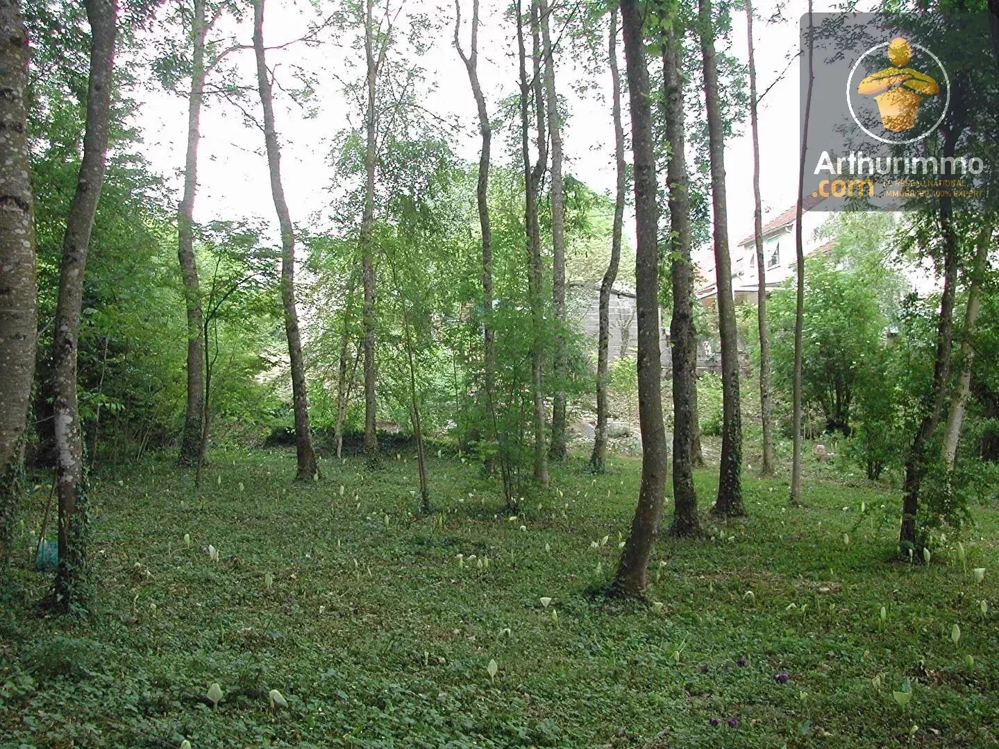 Terrain à Tavers 3133 m² — photo 6