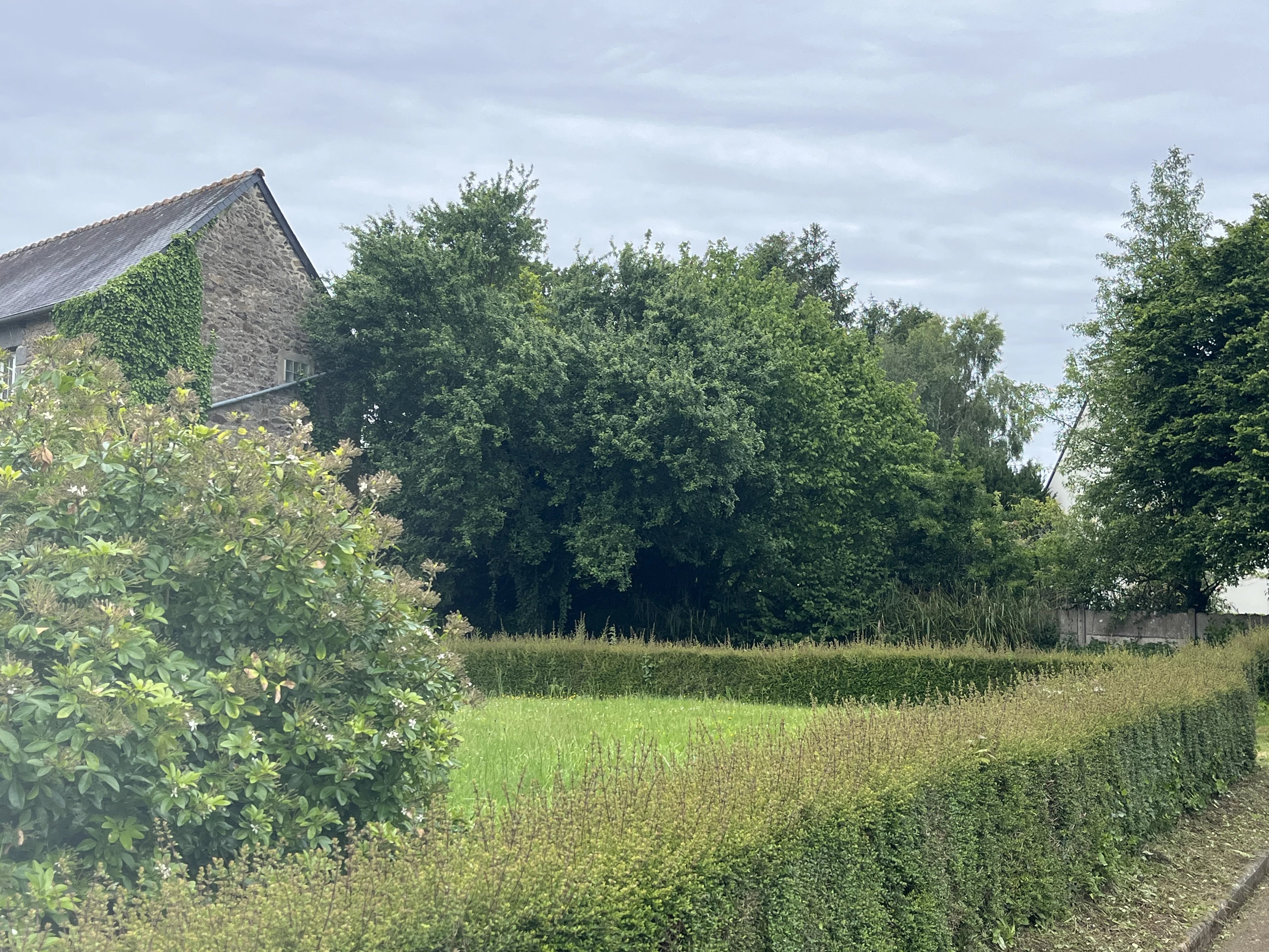 Terrain constructible viabilisé à La Vicomté-sur-Rance – Proche Rance, Dinan et Saint-Malo