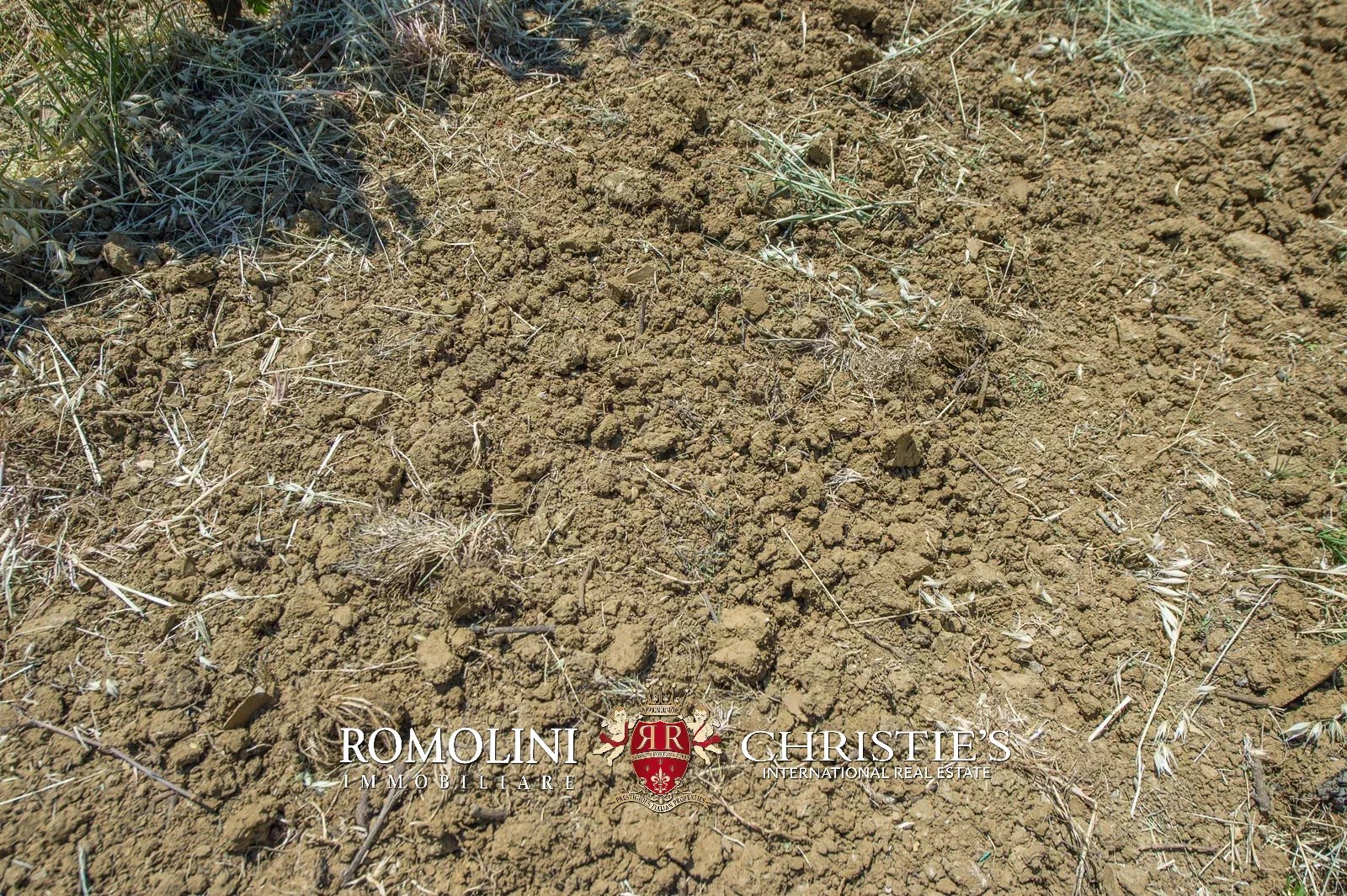 7 Bedroom Vineyard's Image 17