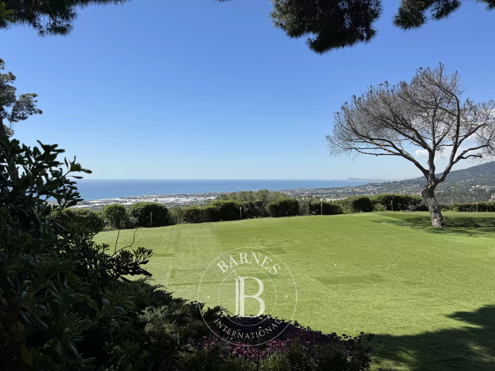 Ev Cabrils - picture 27