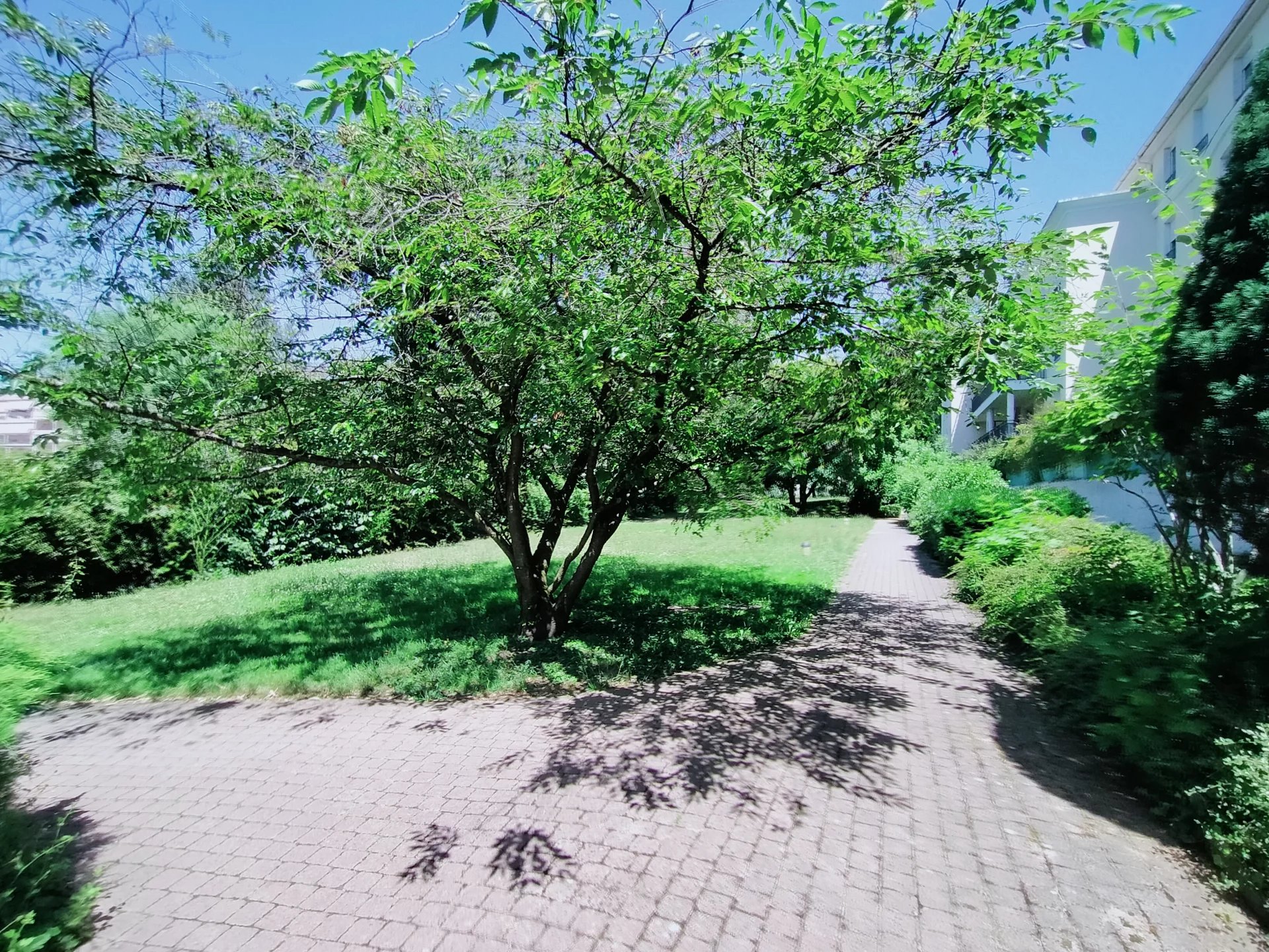 87149496 Location Caluire-et-Cuire