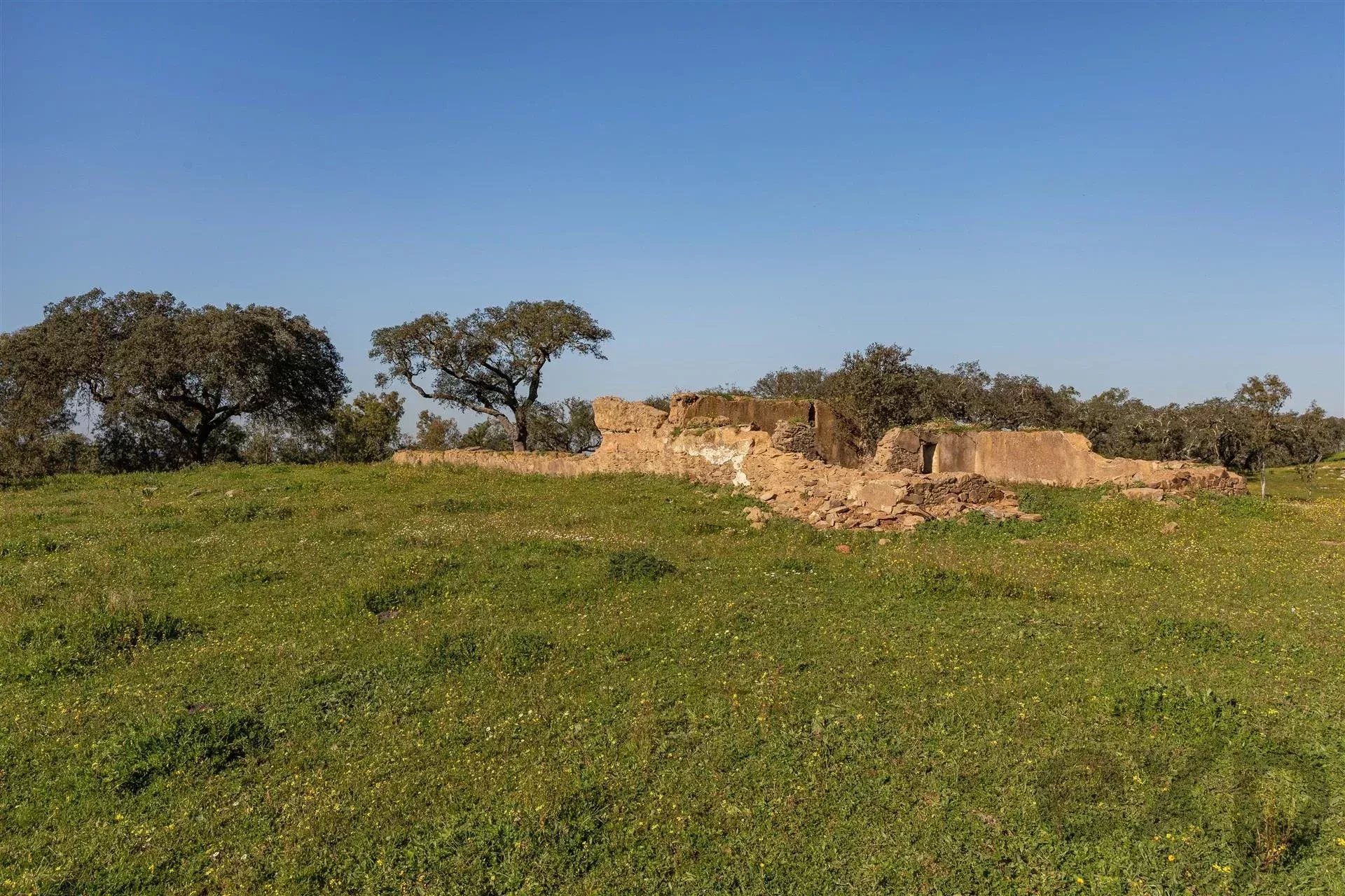 Private Estate - Equestrian Centre 86637172 image 56