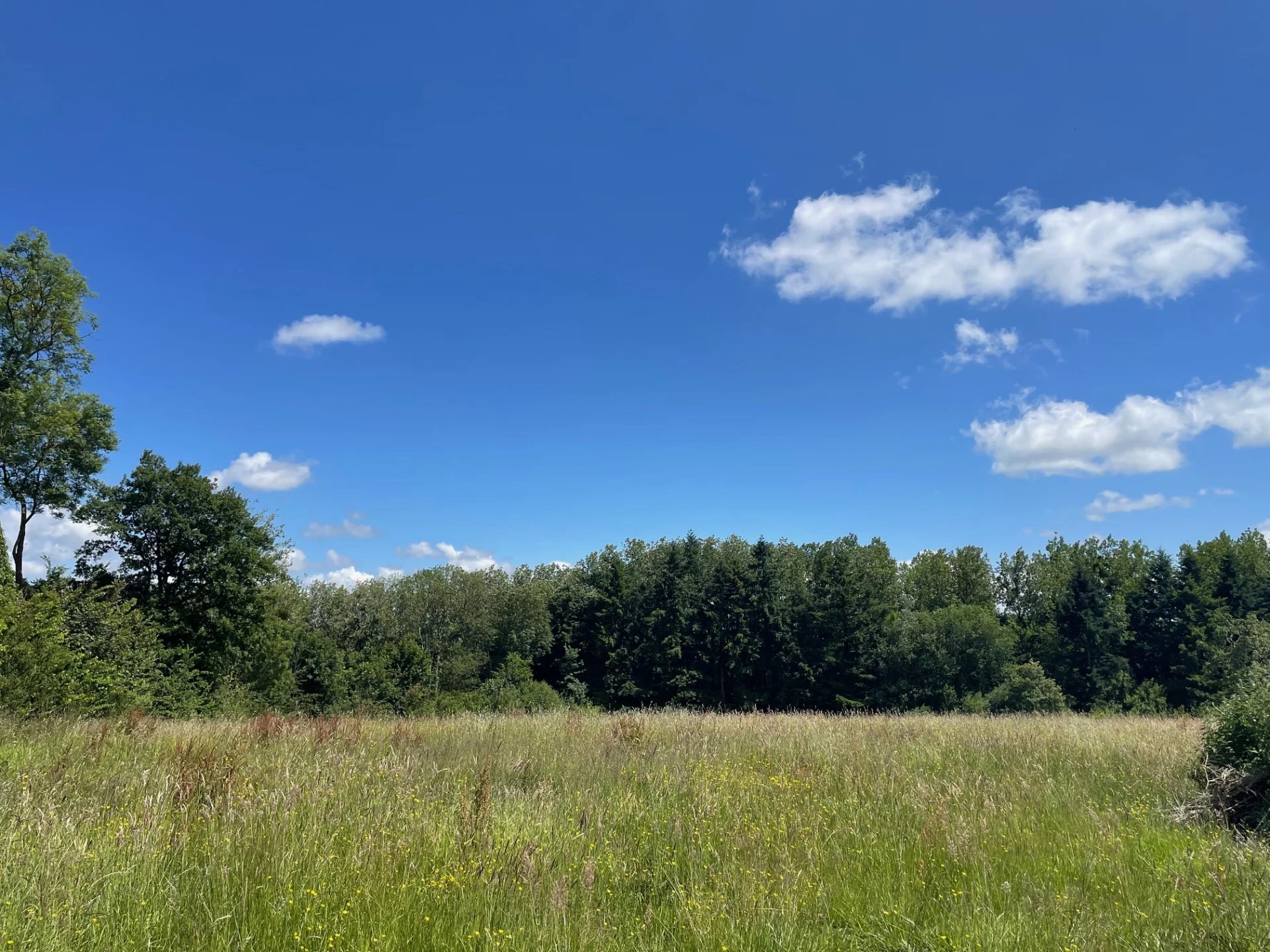 Vente Terrain constructible Pont-l'Évêque
