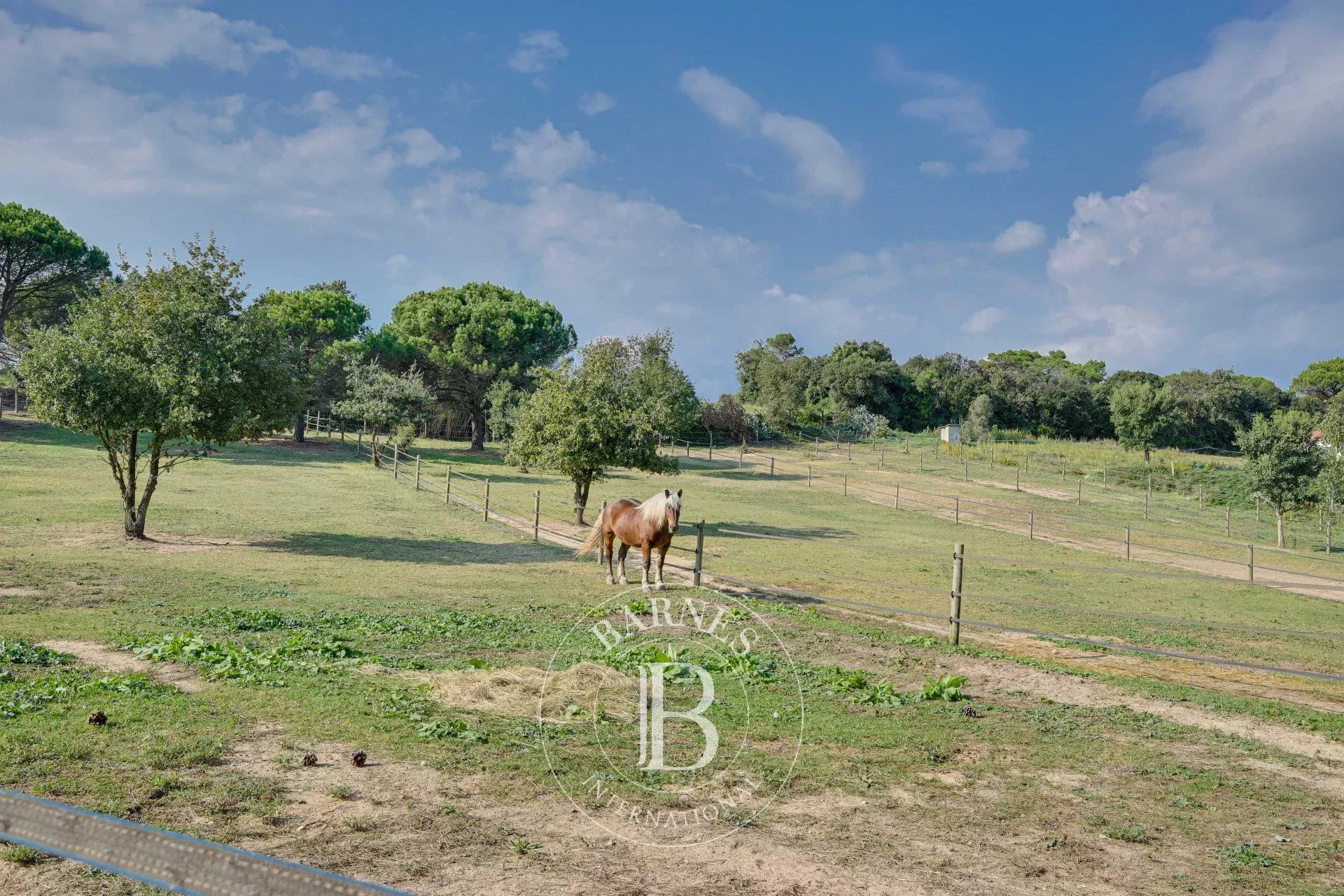 Çiftlik Vidreres - picture 9