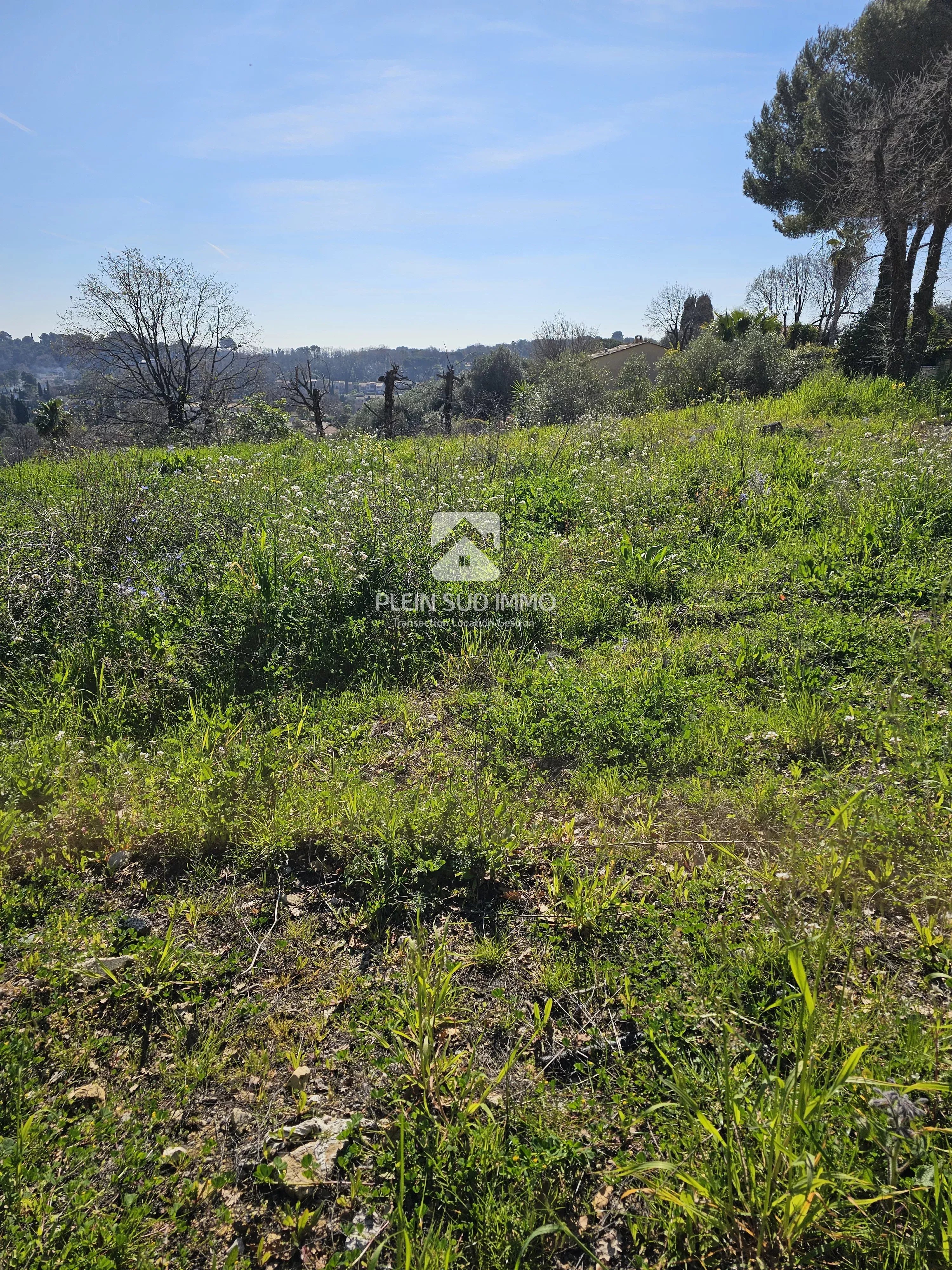Agence immobilière de PLEIN SUD IMMO