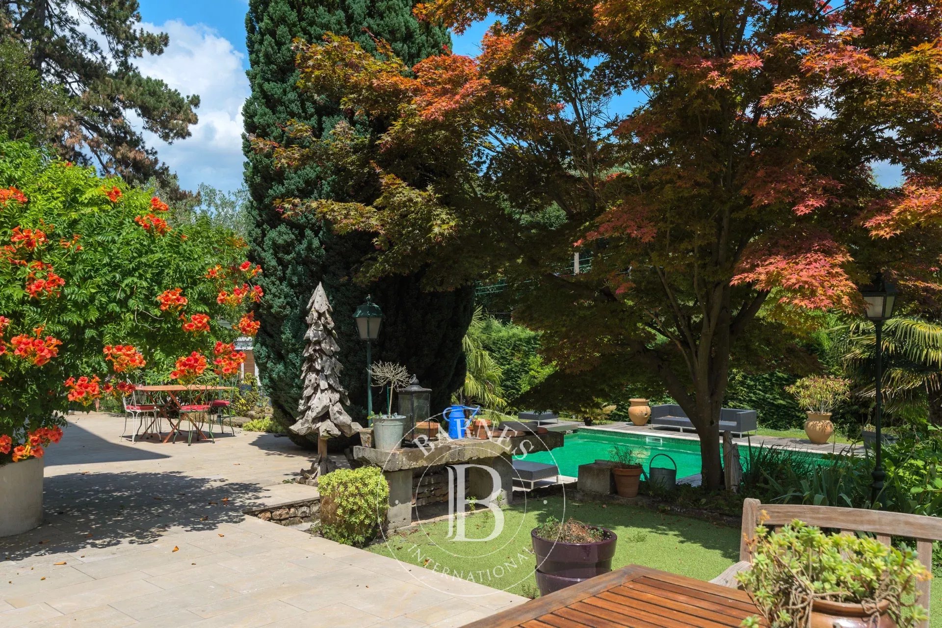 Ev Collonges-au-Mont-d'Or - picture 7