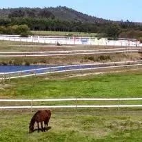 Exceptional Equestrian Estate – Odemira, South West Alentejo 86739800 image 26