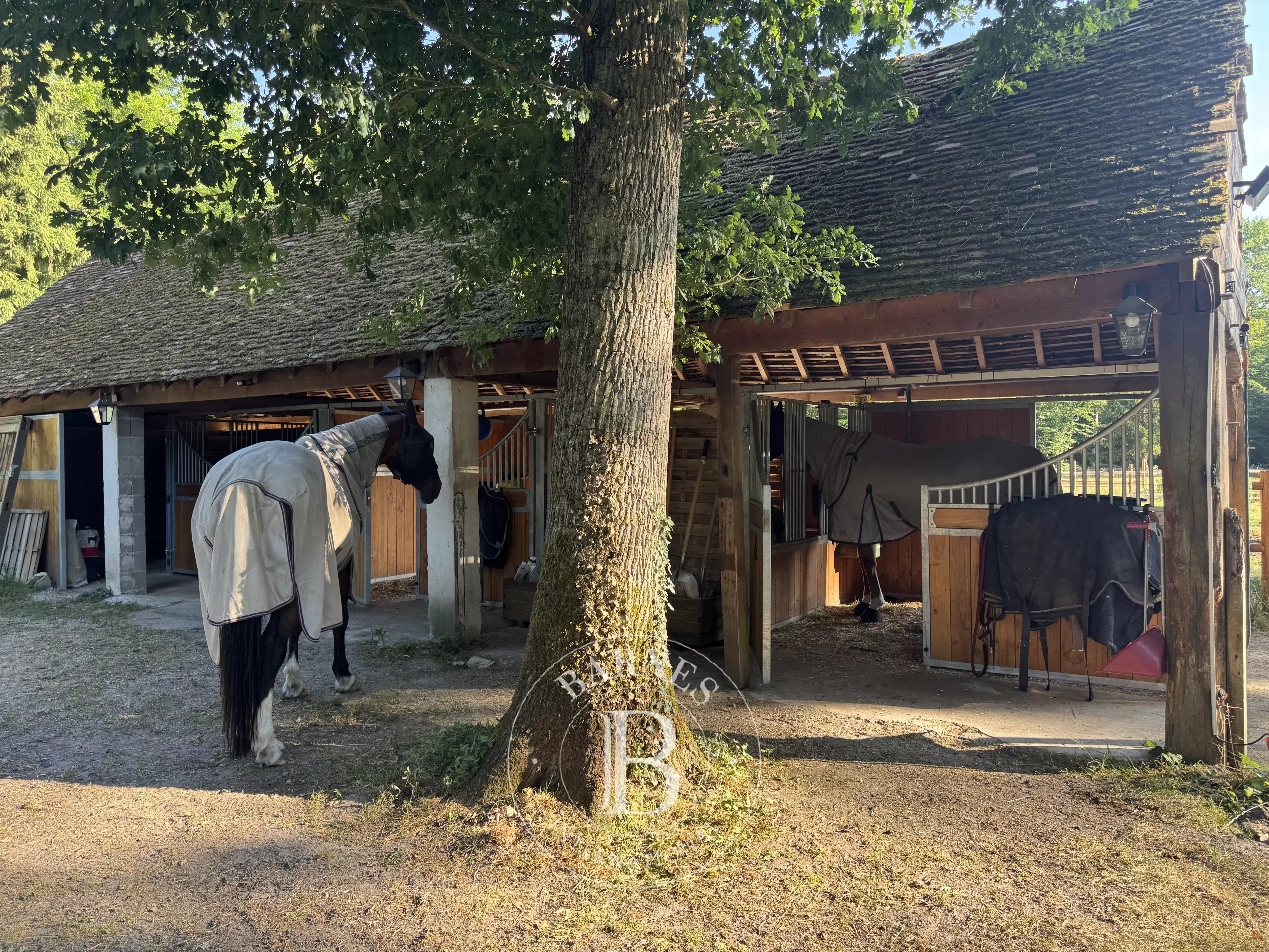 Jouy-le-Potier  - Propriété  - picture 12