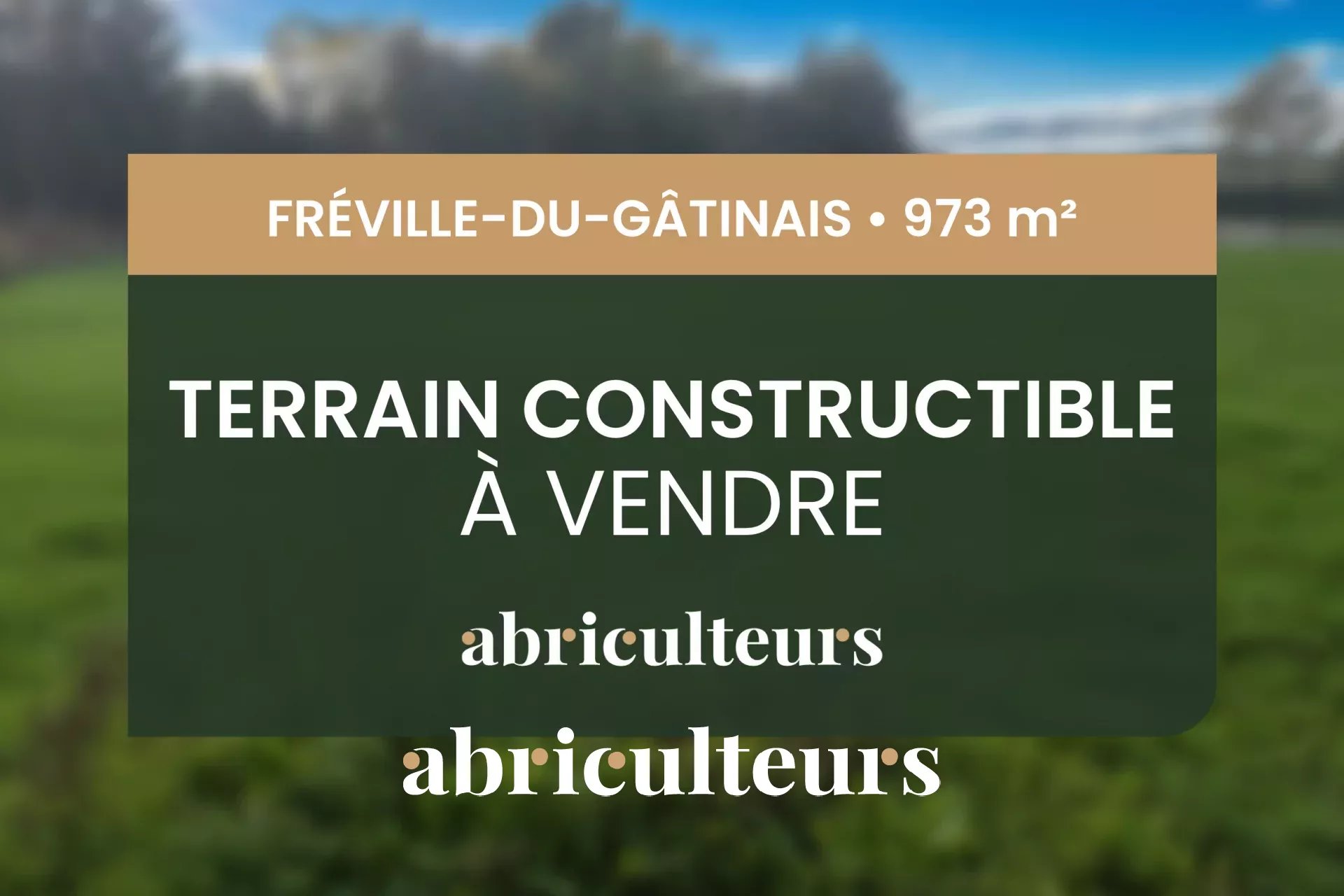 Agence immobilière de LES ABRICULTEURS