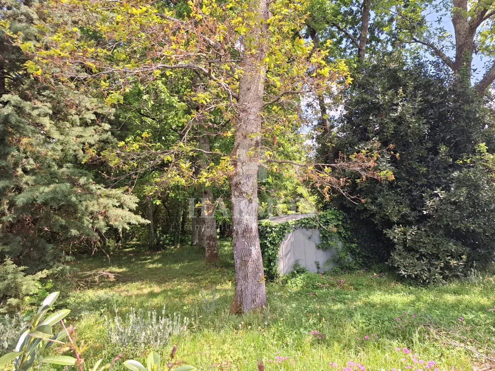 Parking à vendre, 1300 m², Gujan-Mestras