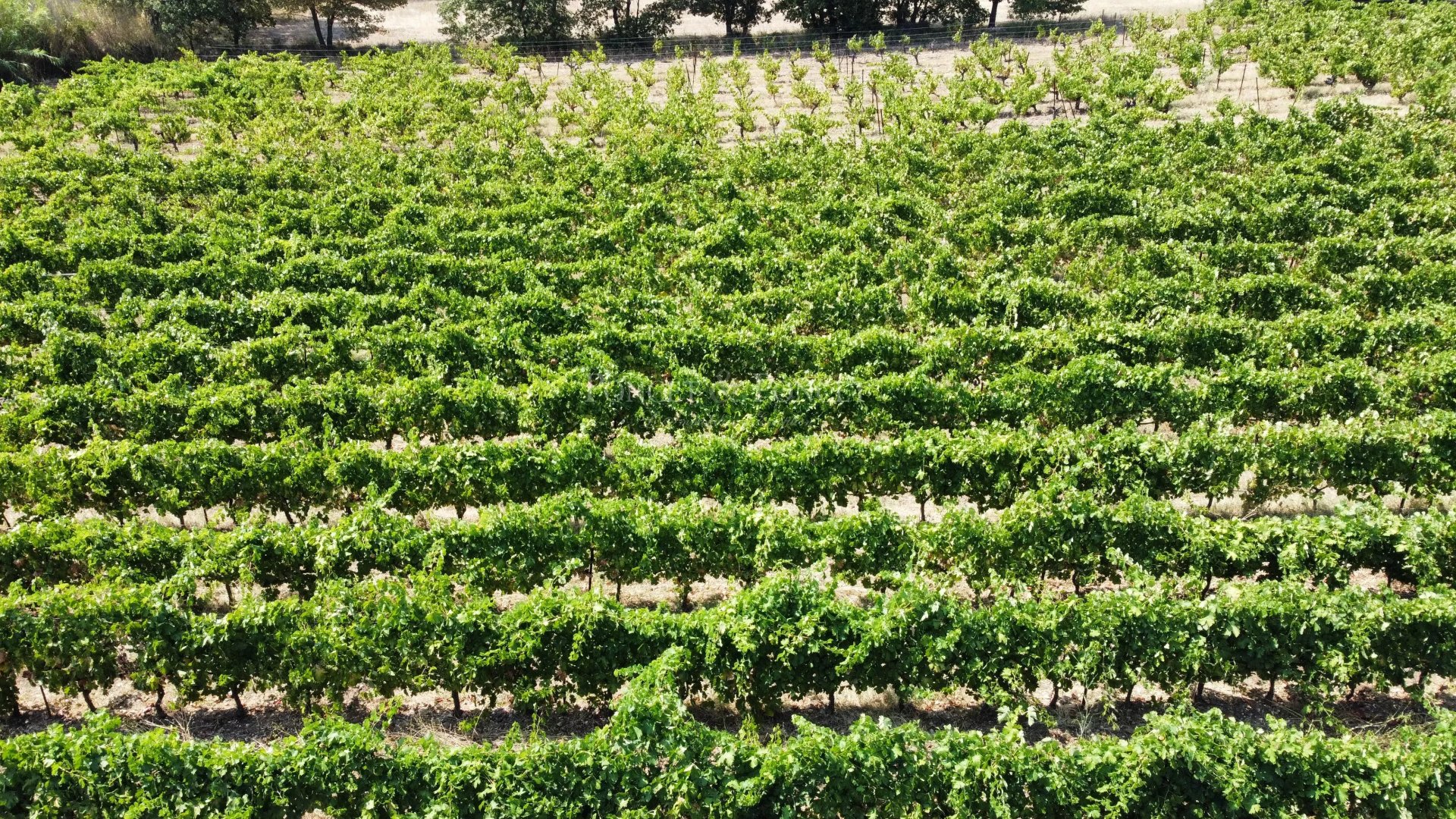 3 Bedroom Vineyard's Image 21