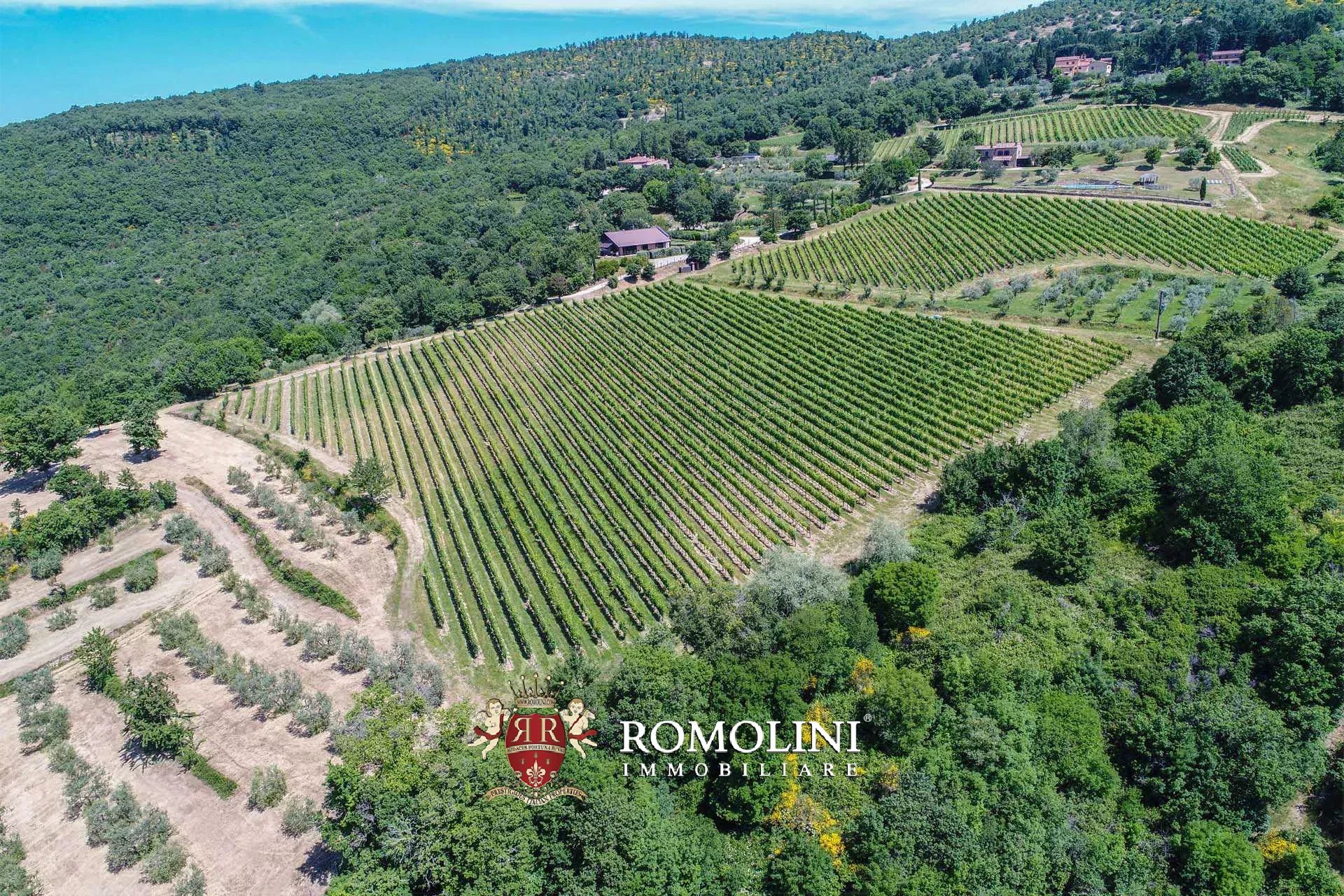 16 Bedroom Vineyard's Image 26