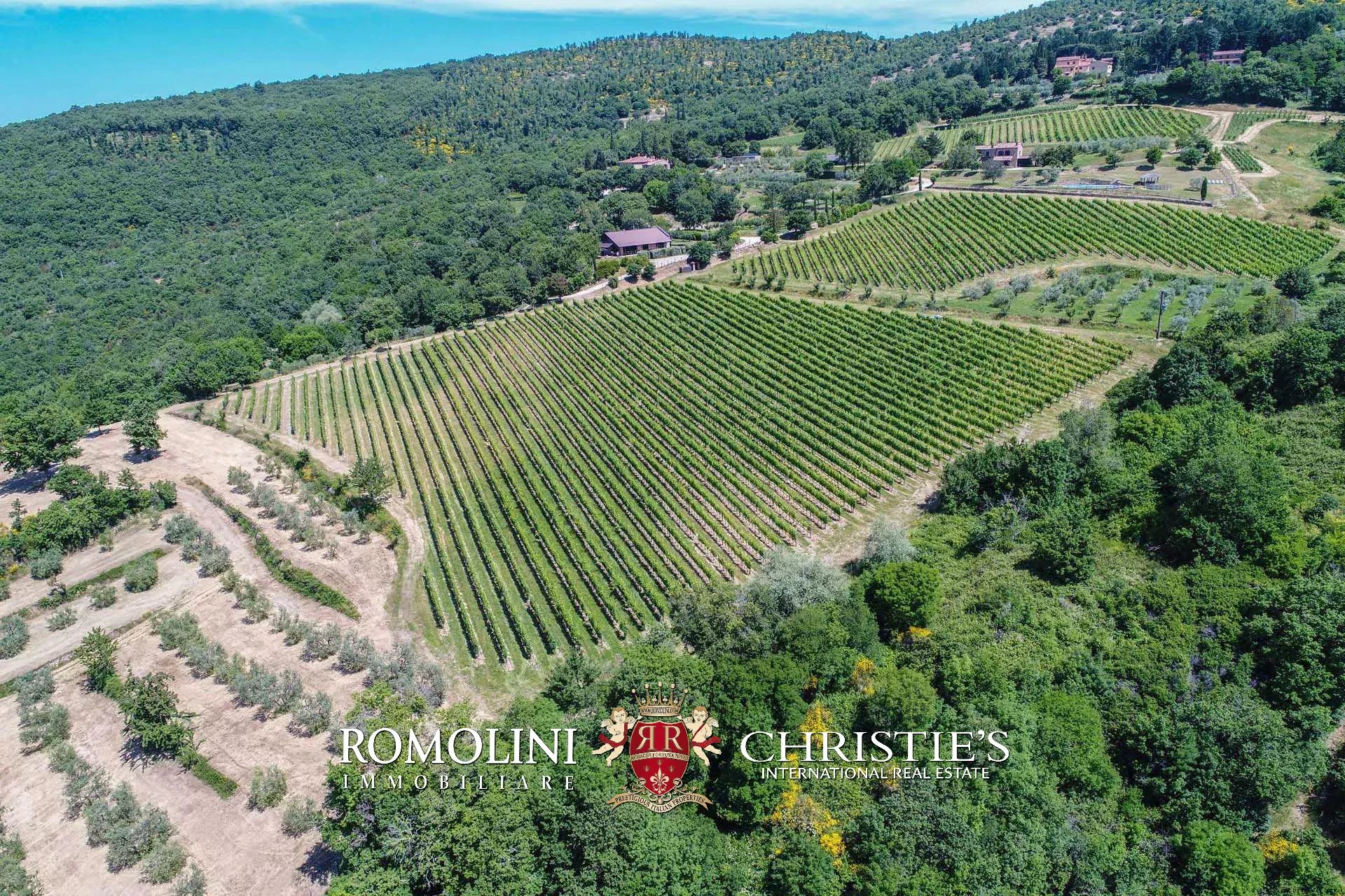 16 Bedroom Vineyard's Image 26