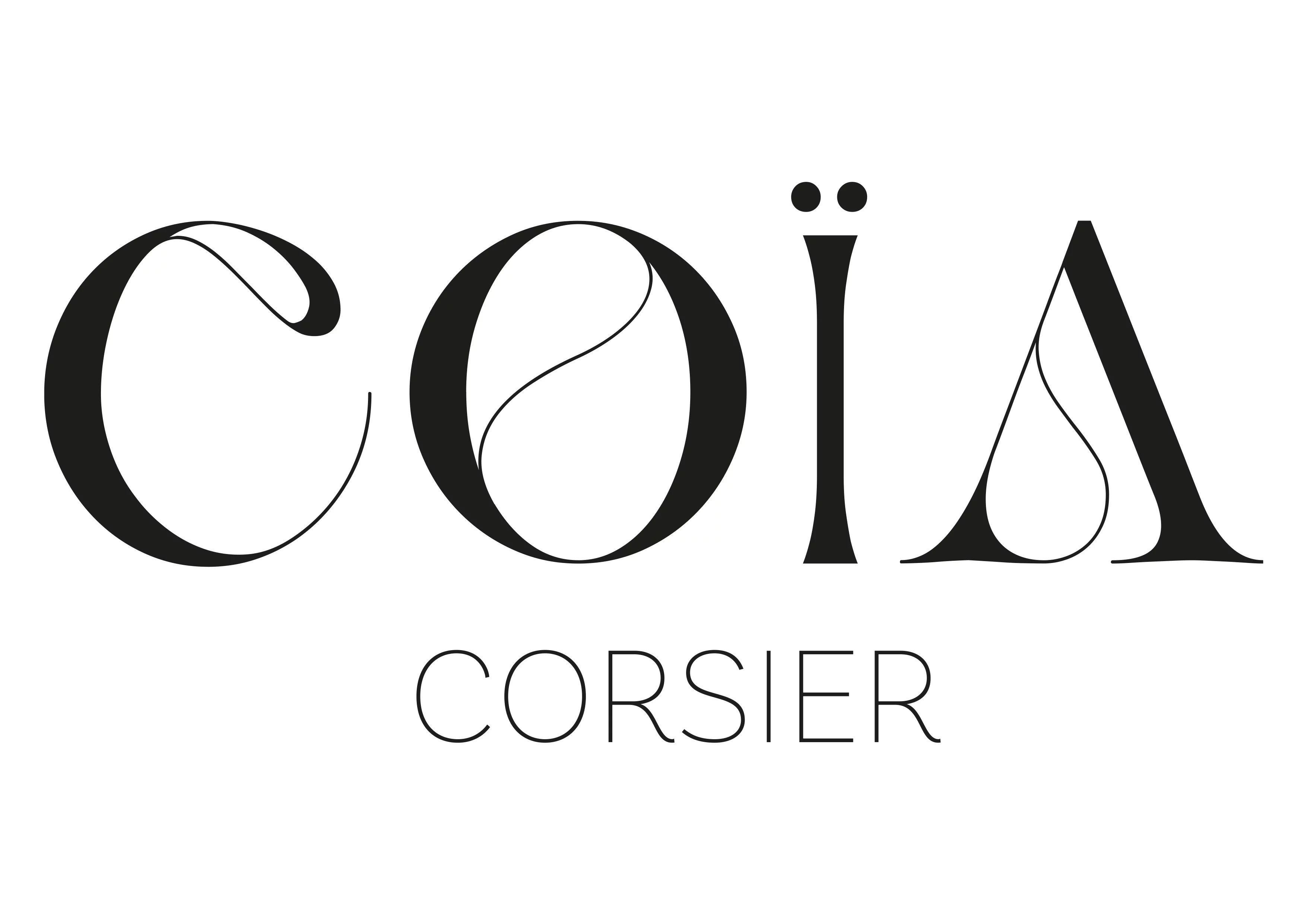 Promotion COÏA - Corsier | Villa C