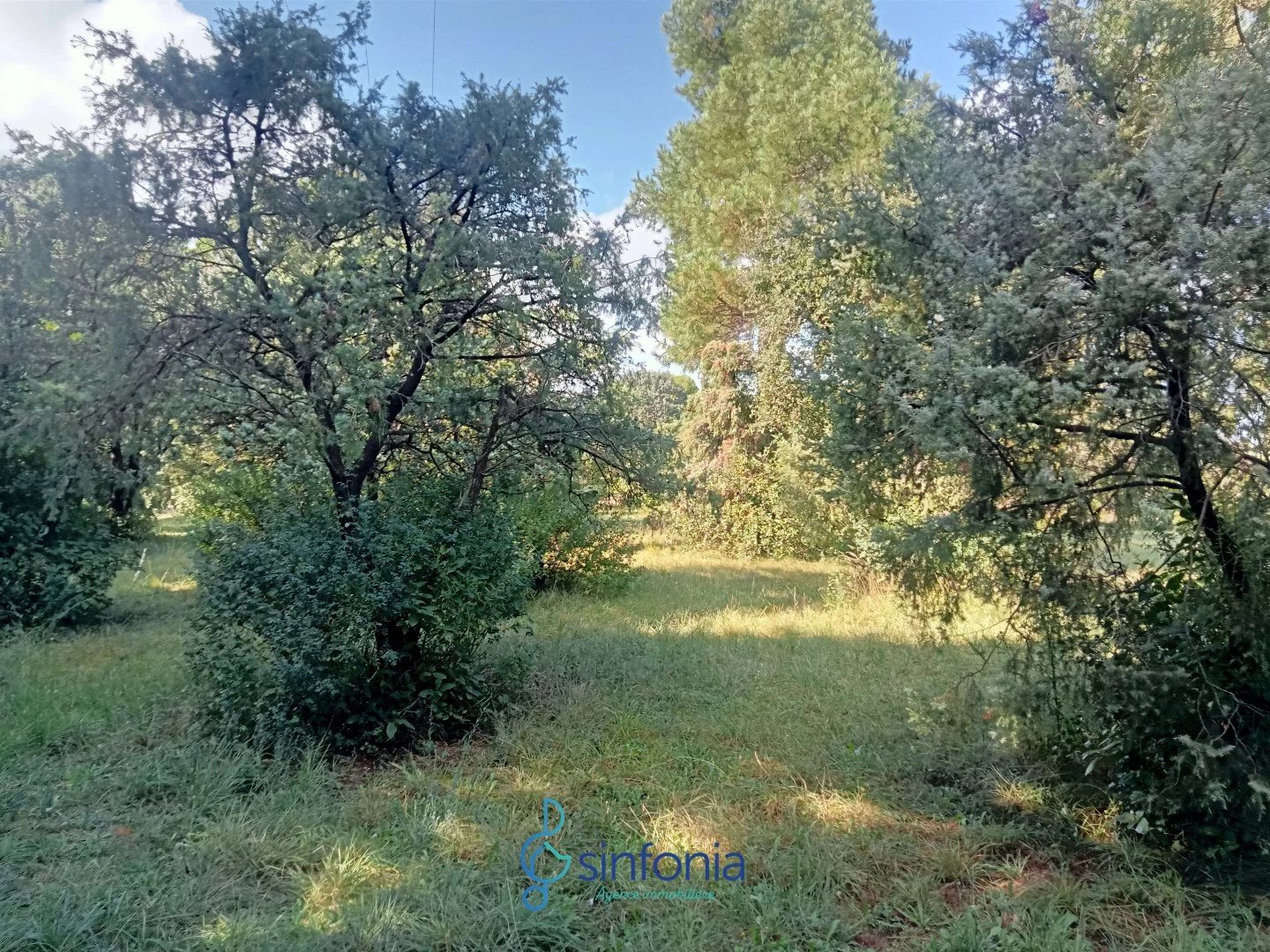 Vente Terrain Uzès