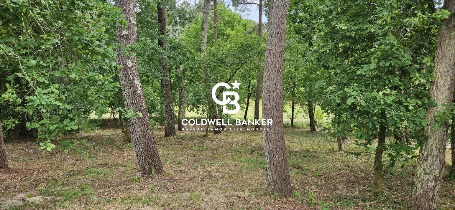 Agence immobilière de Silver Coast Int. Realty