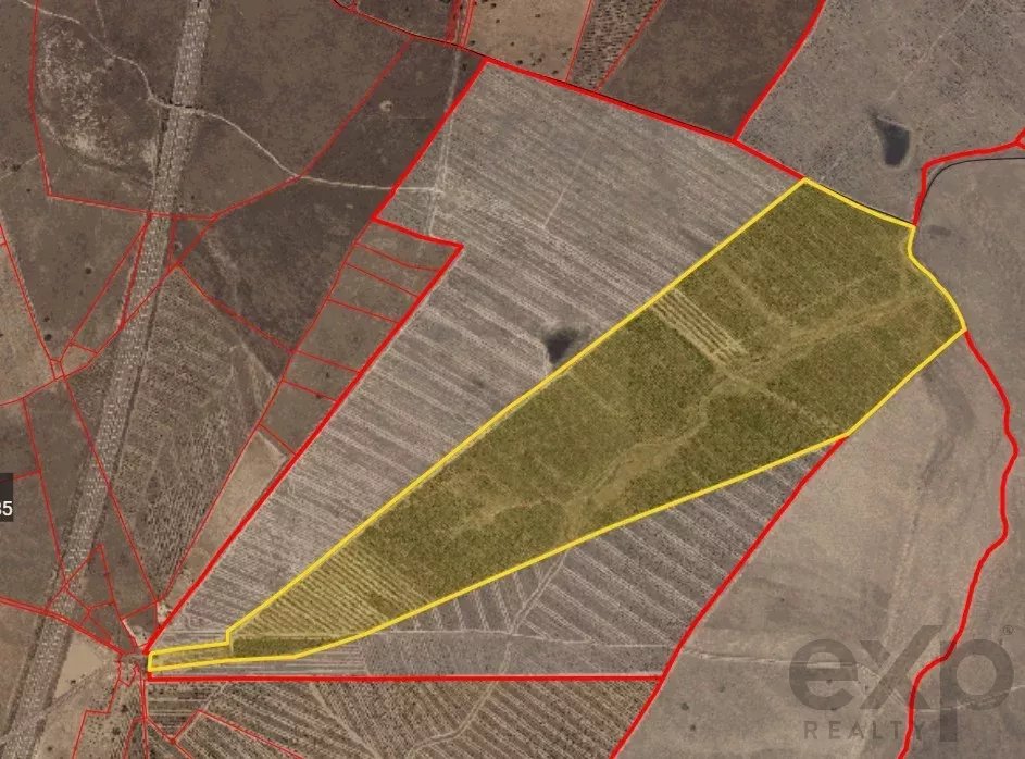 Baixo Alentejo - 55.9 ha of Freedom and Potential in Baixo Alentejo 85975961 image 6