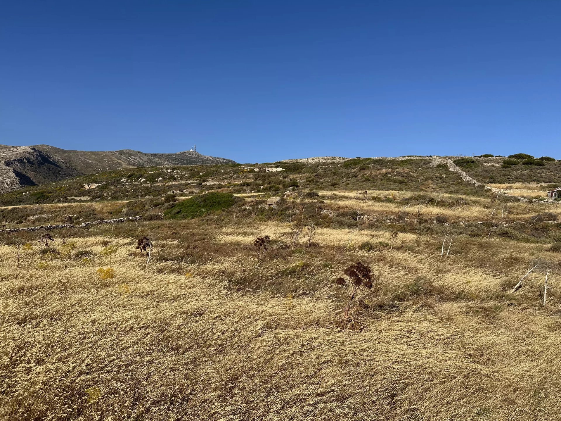 Εικόνα ιδιοκτησίας 7