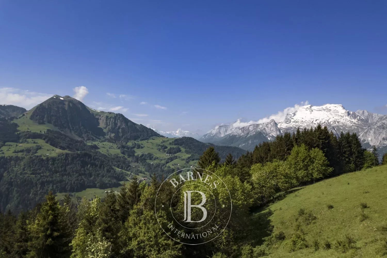 Arazi Manigod - picture 4