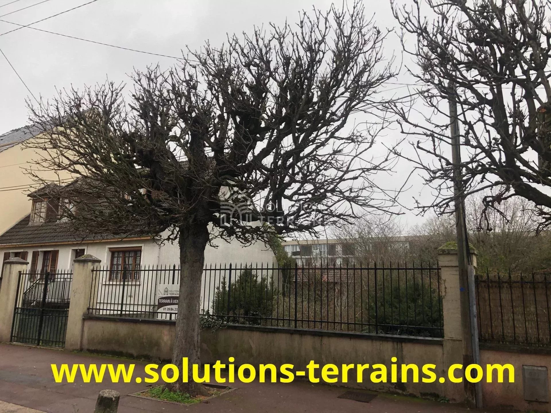 Agence immobilière de Solutions Terrains