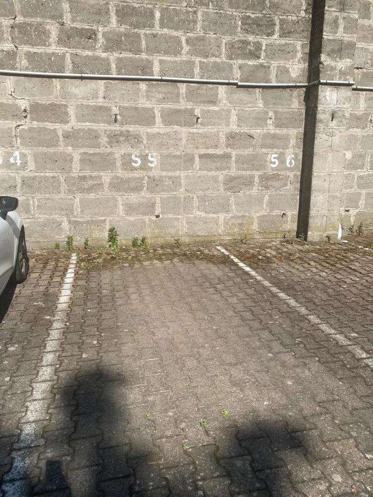 Agence immobilière de Max Immo Bordeaux